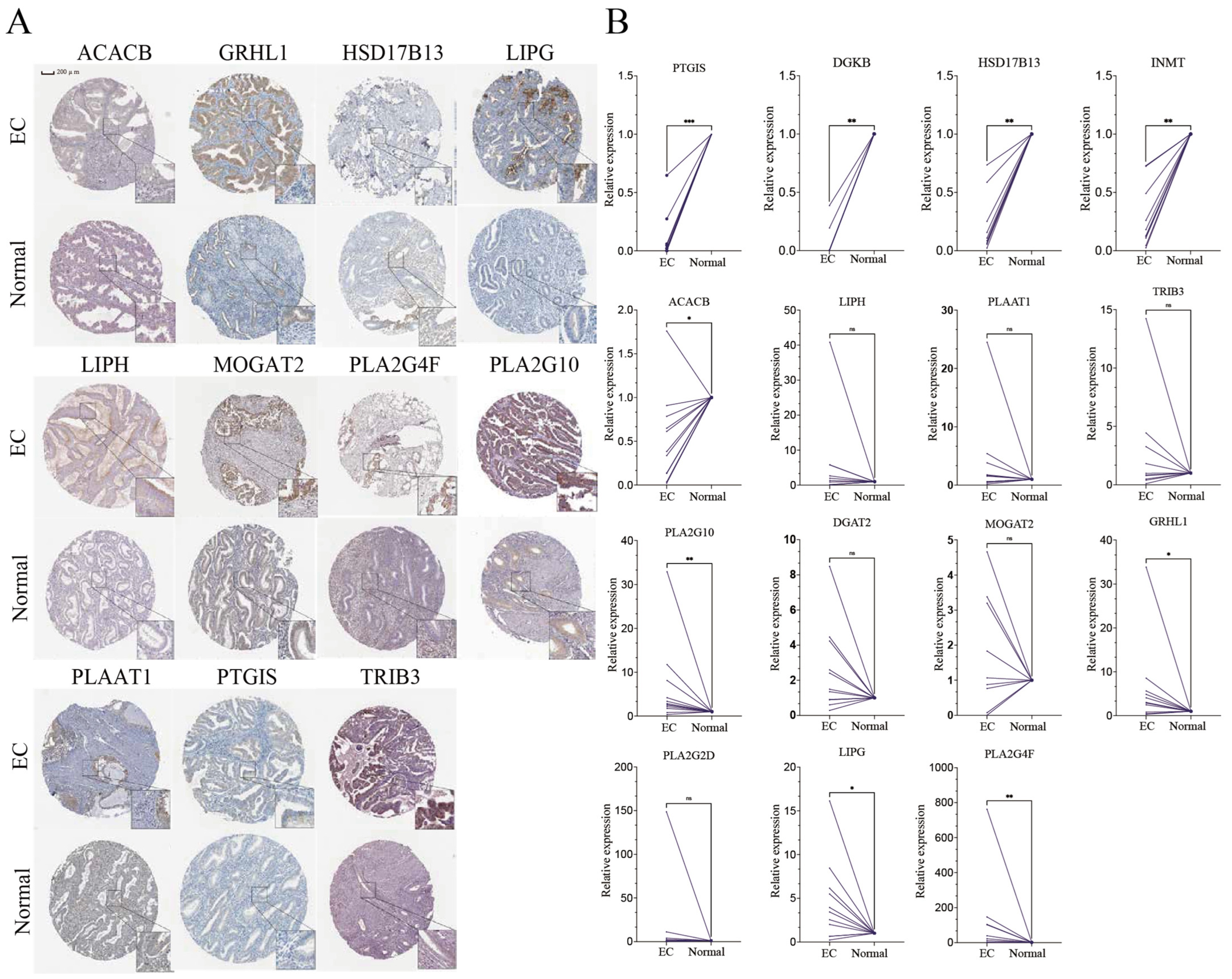 Biomedicines 13 01050 g005