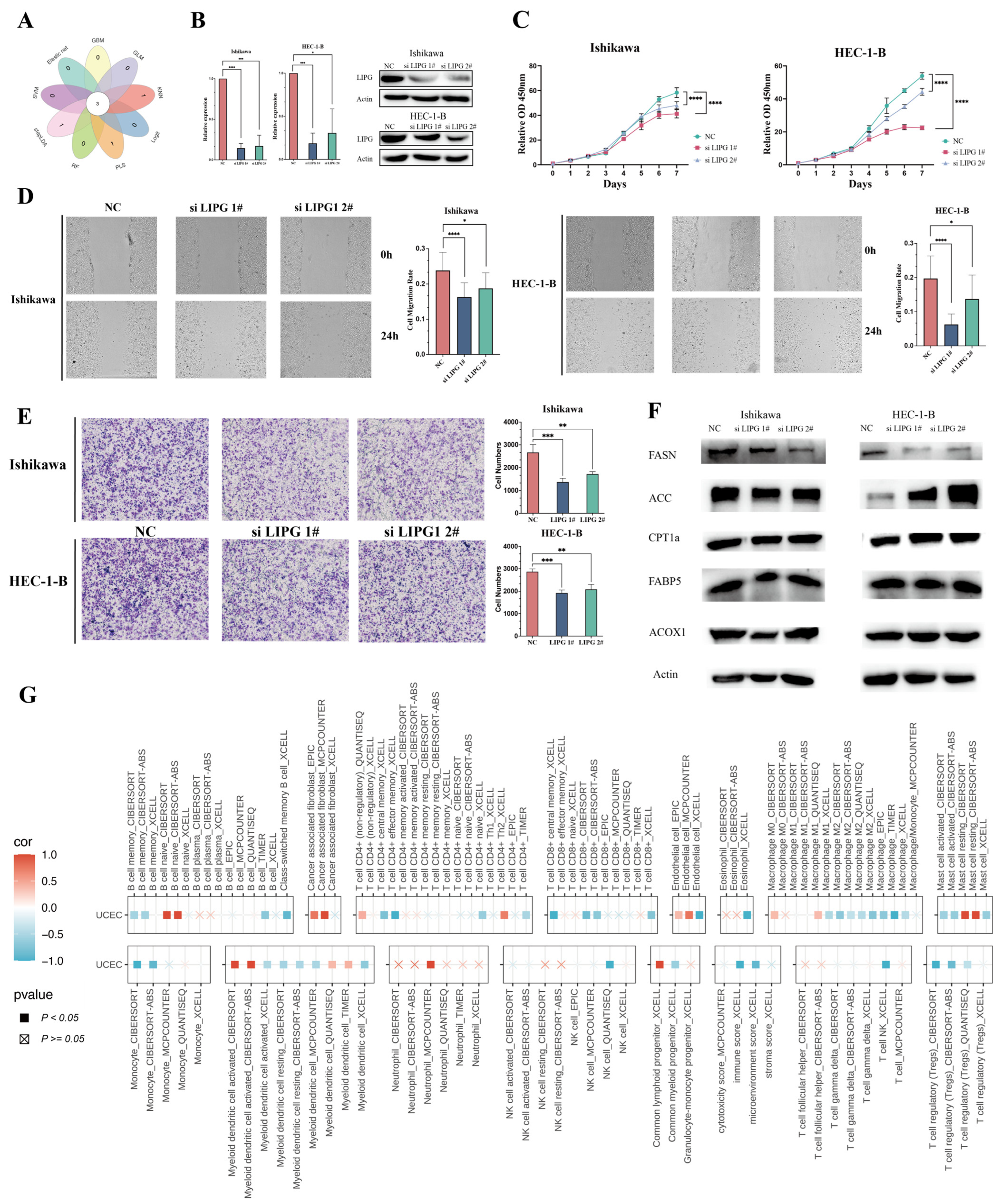 Biomedicines 13 01050 g006