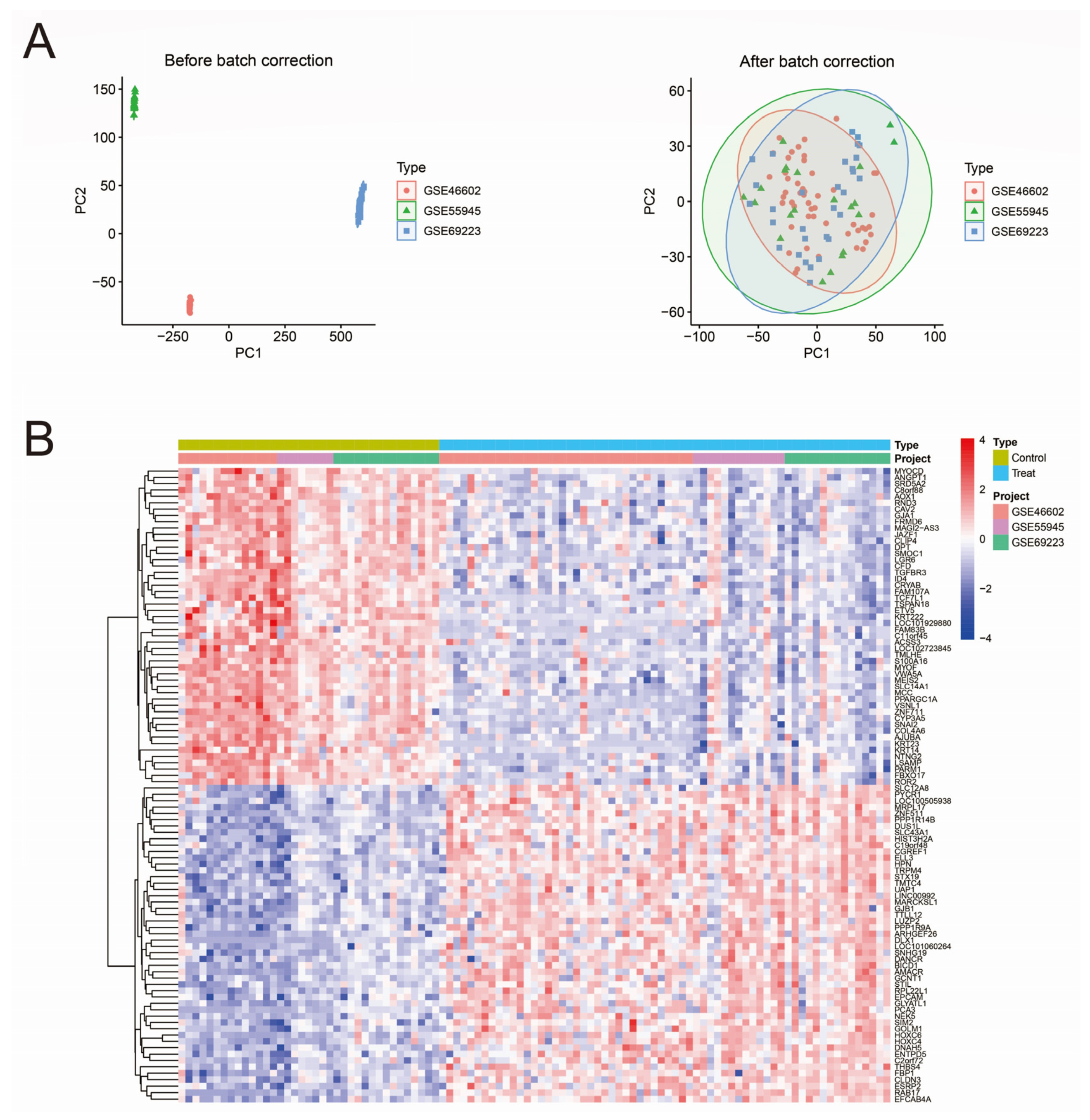 Biomedicines 13 01051 g001a