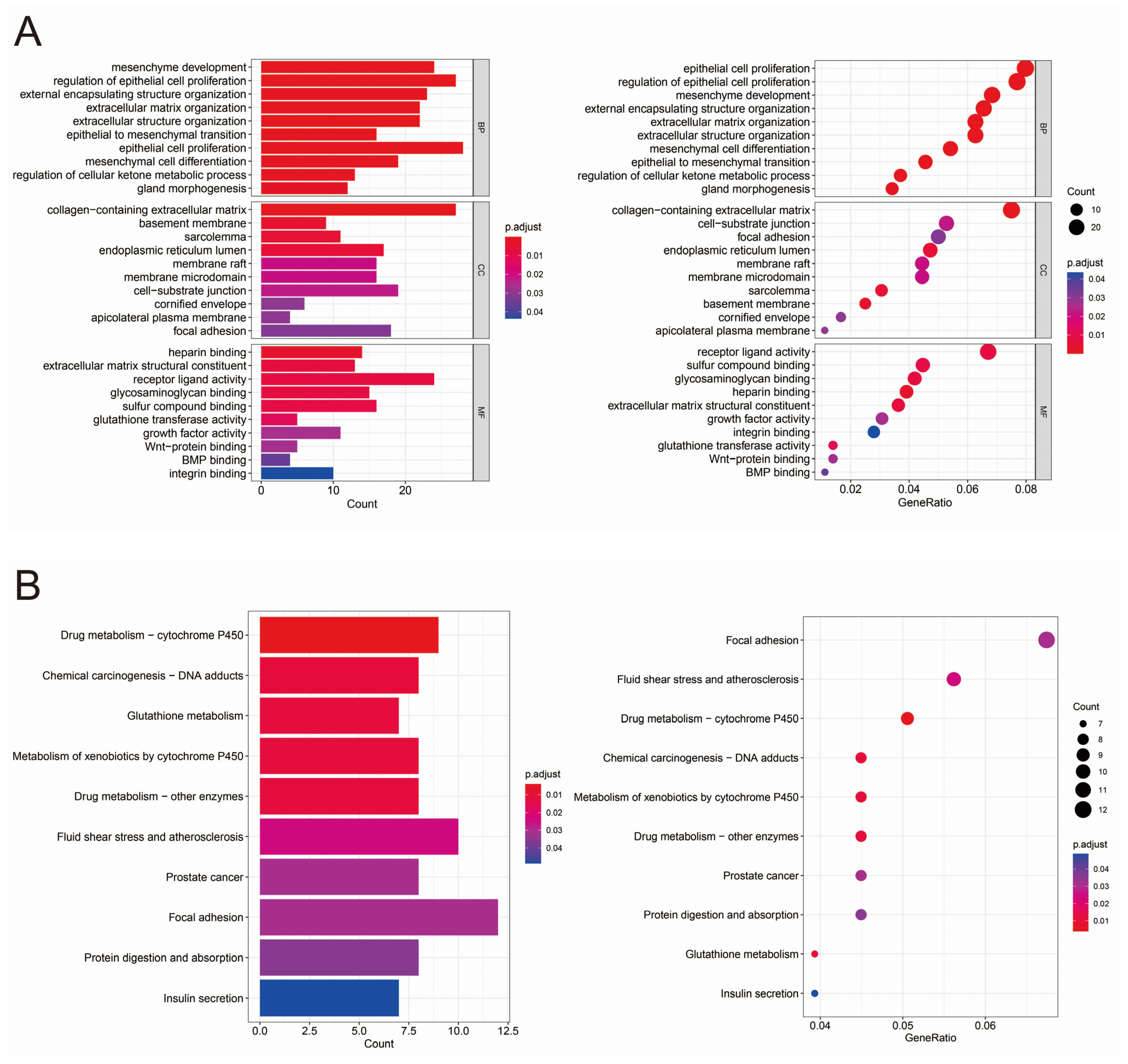 Biomedicines 13 01051 g002