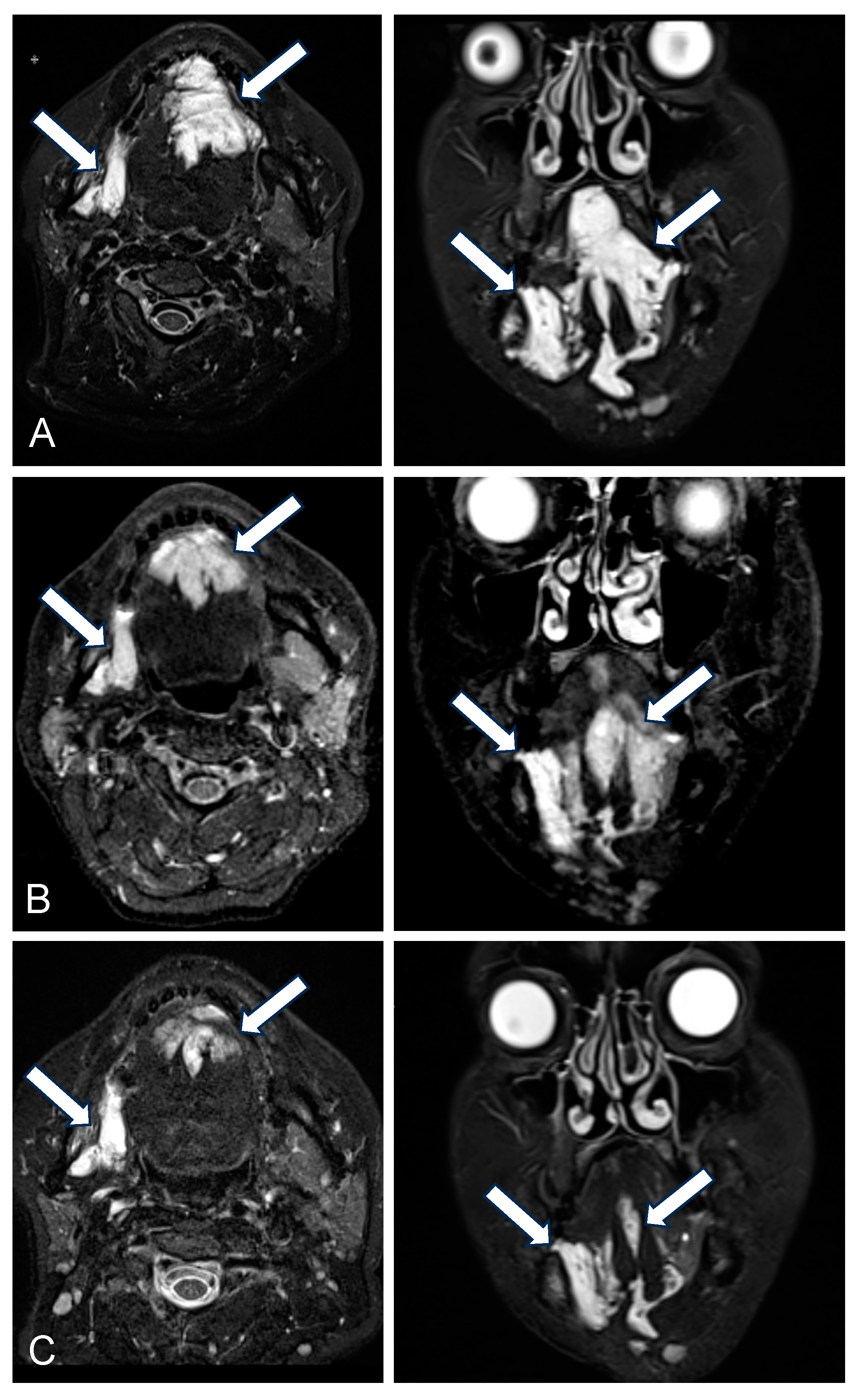 Biomedicines 13 01055 g001