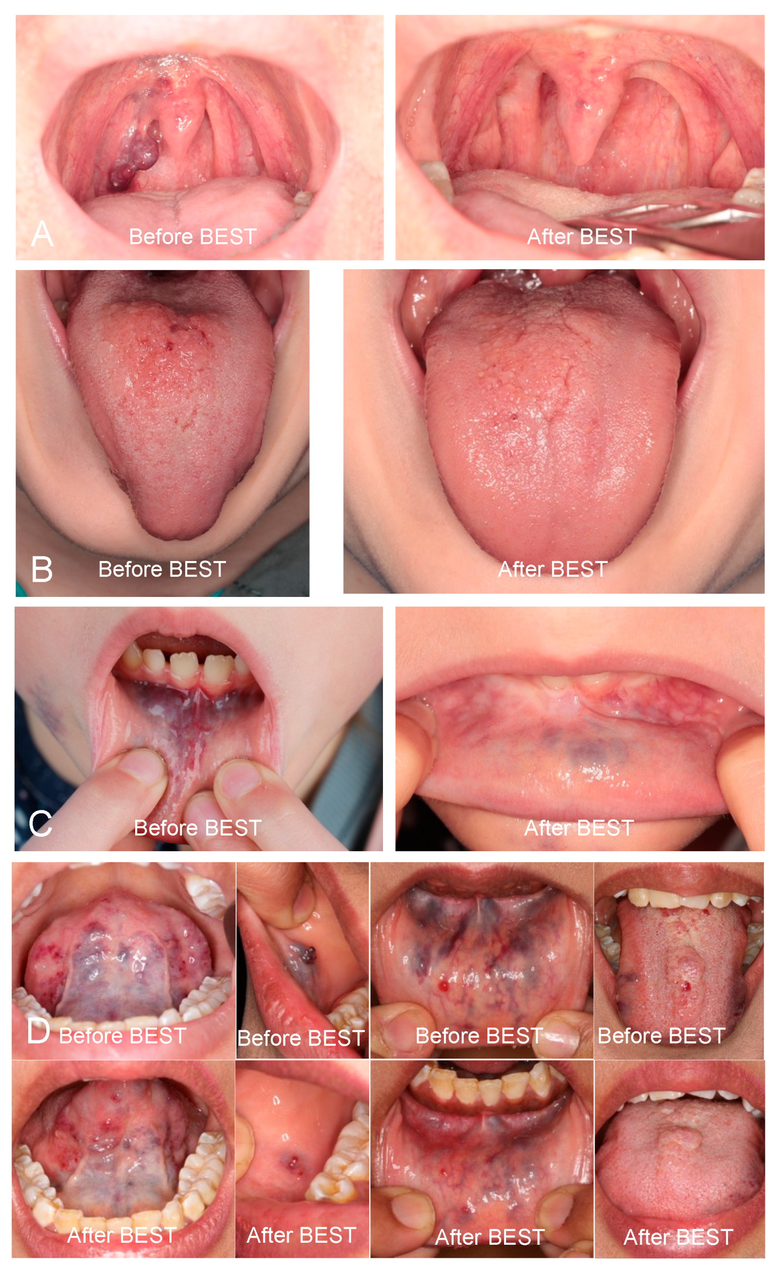 Biomedicines 13 01055 g002