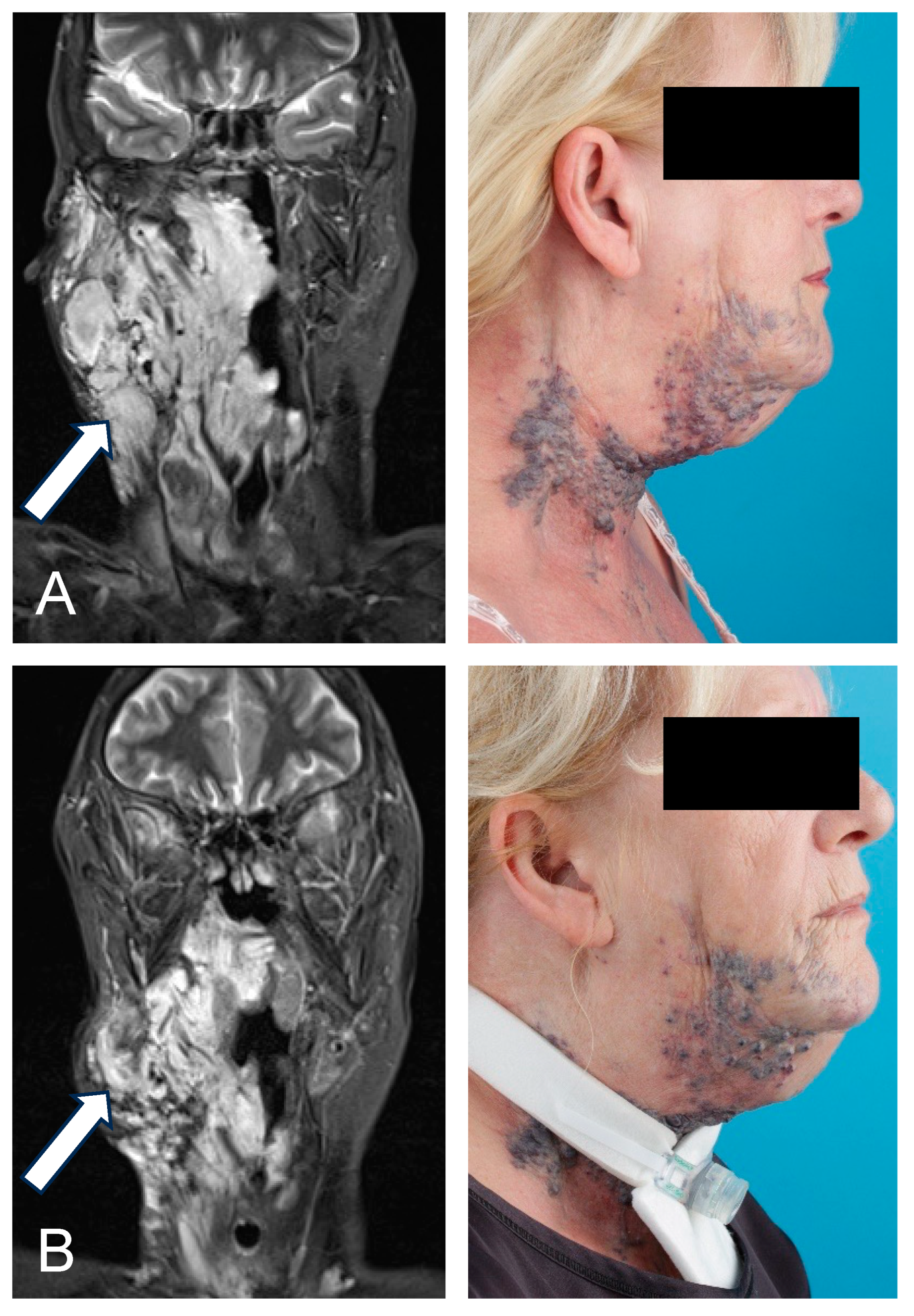 Biomedicines 13 01055 g003