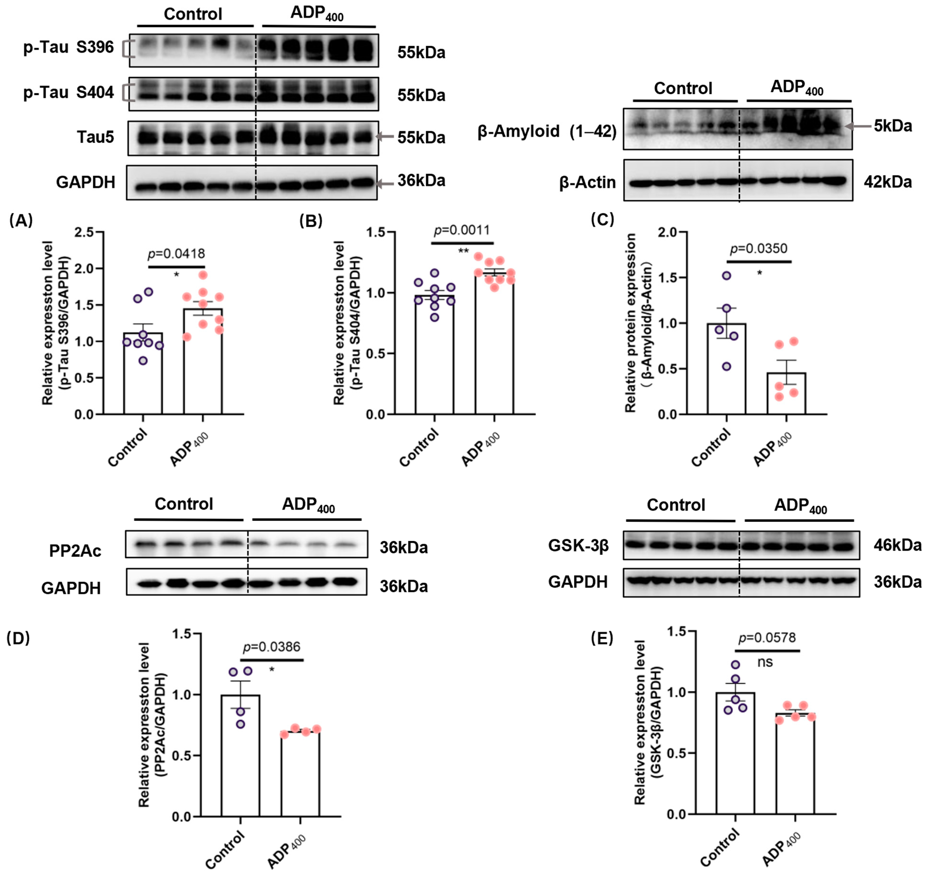 Biomedicines 13 01056 g003