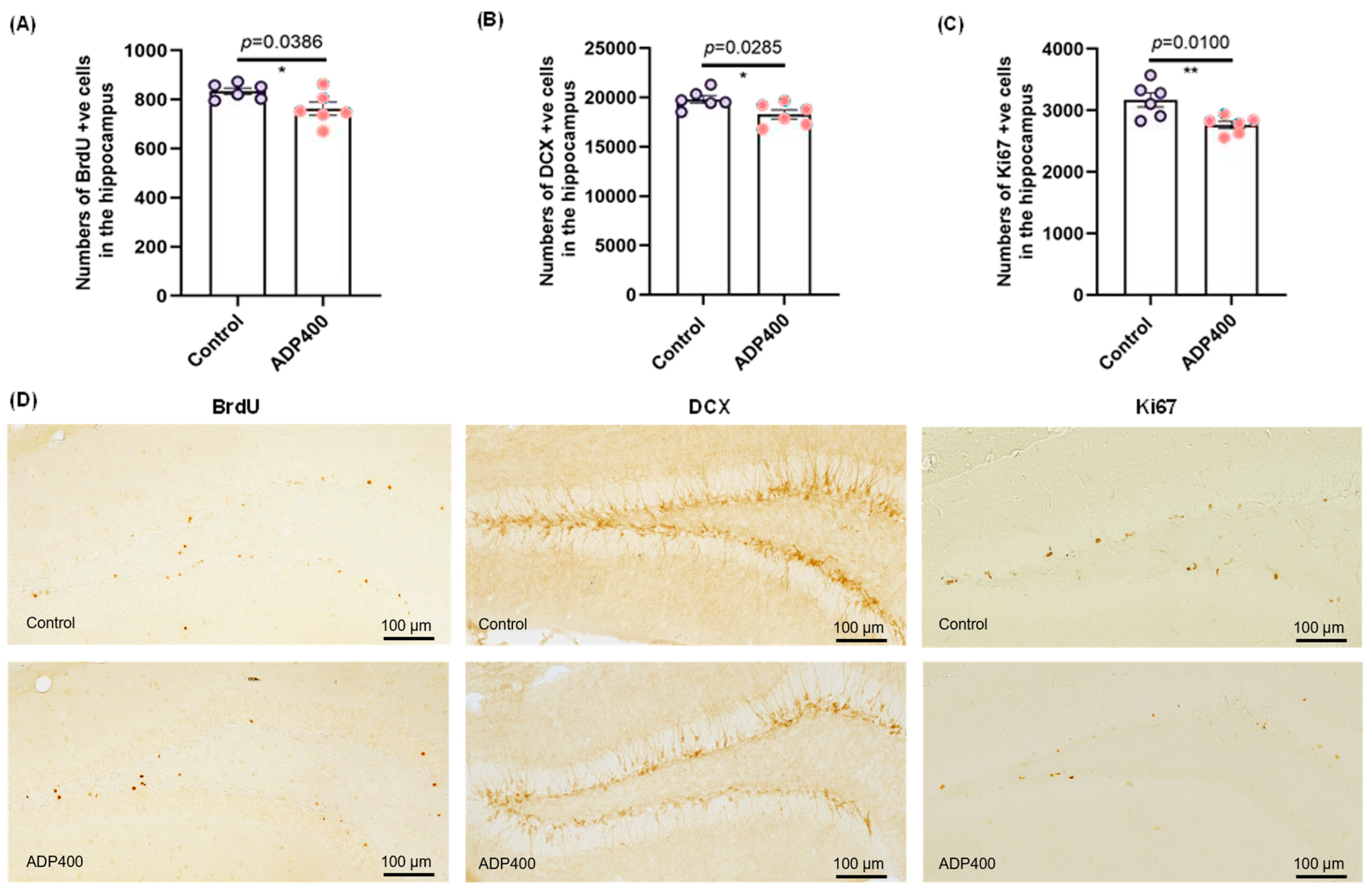 Biomedicines 13 01056 g006