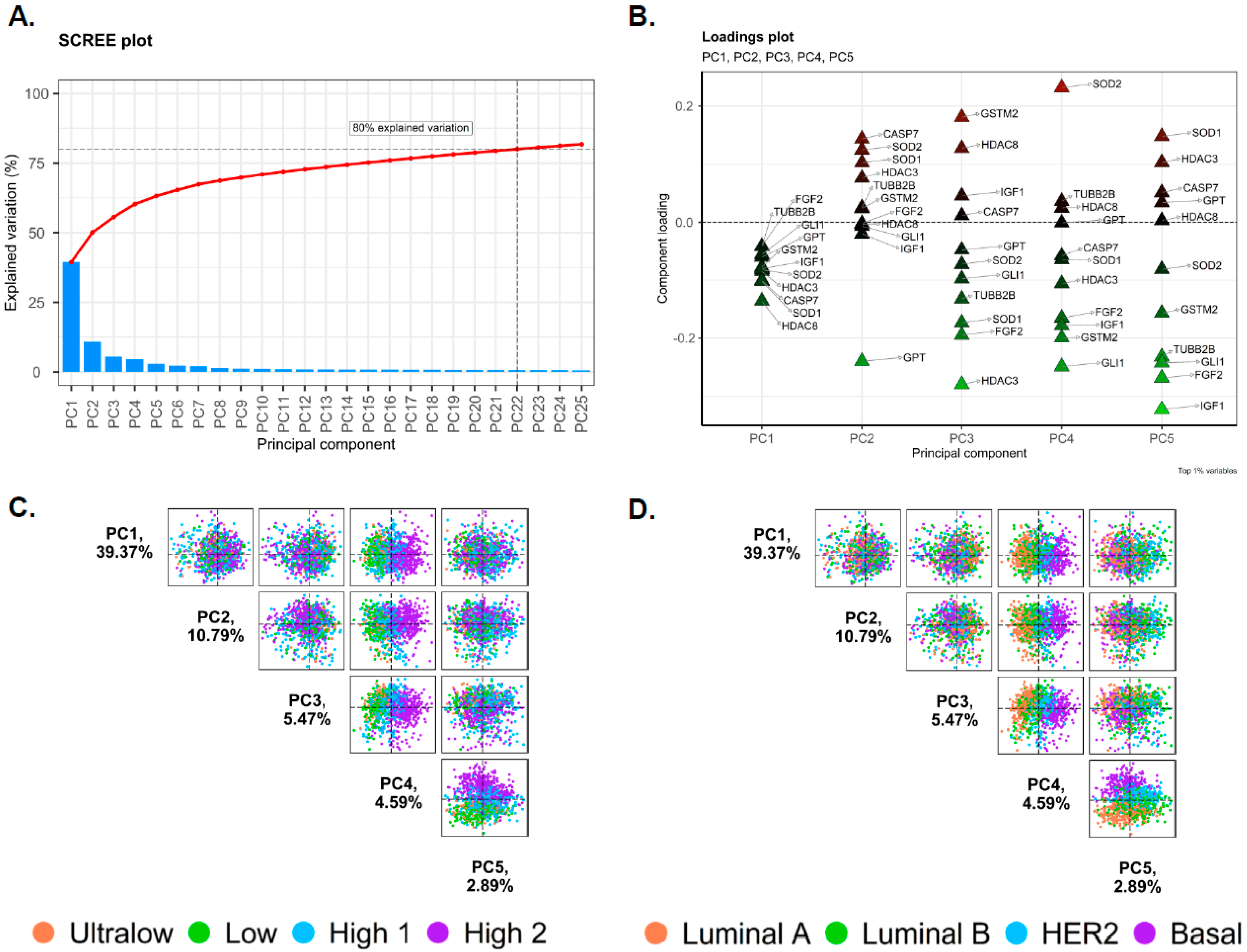 Biomedicines 13 01058 g001