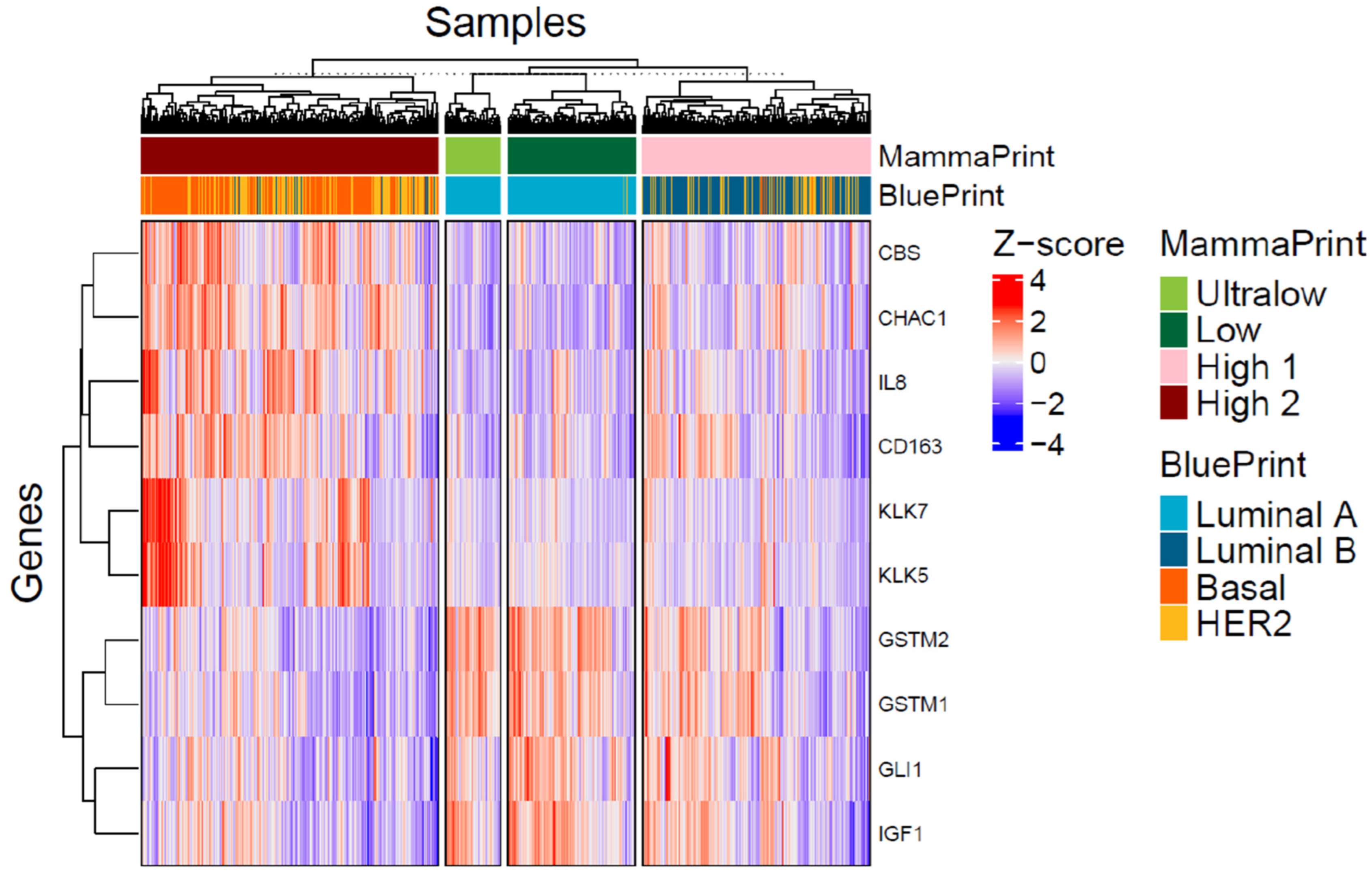 Biomedicines 13 01058 g005