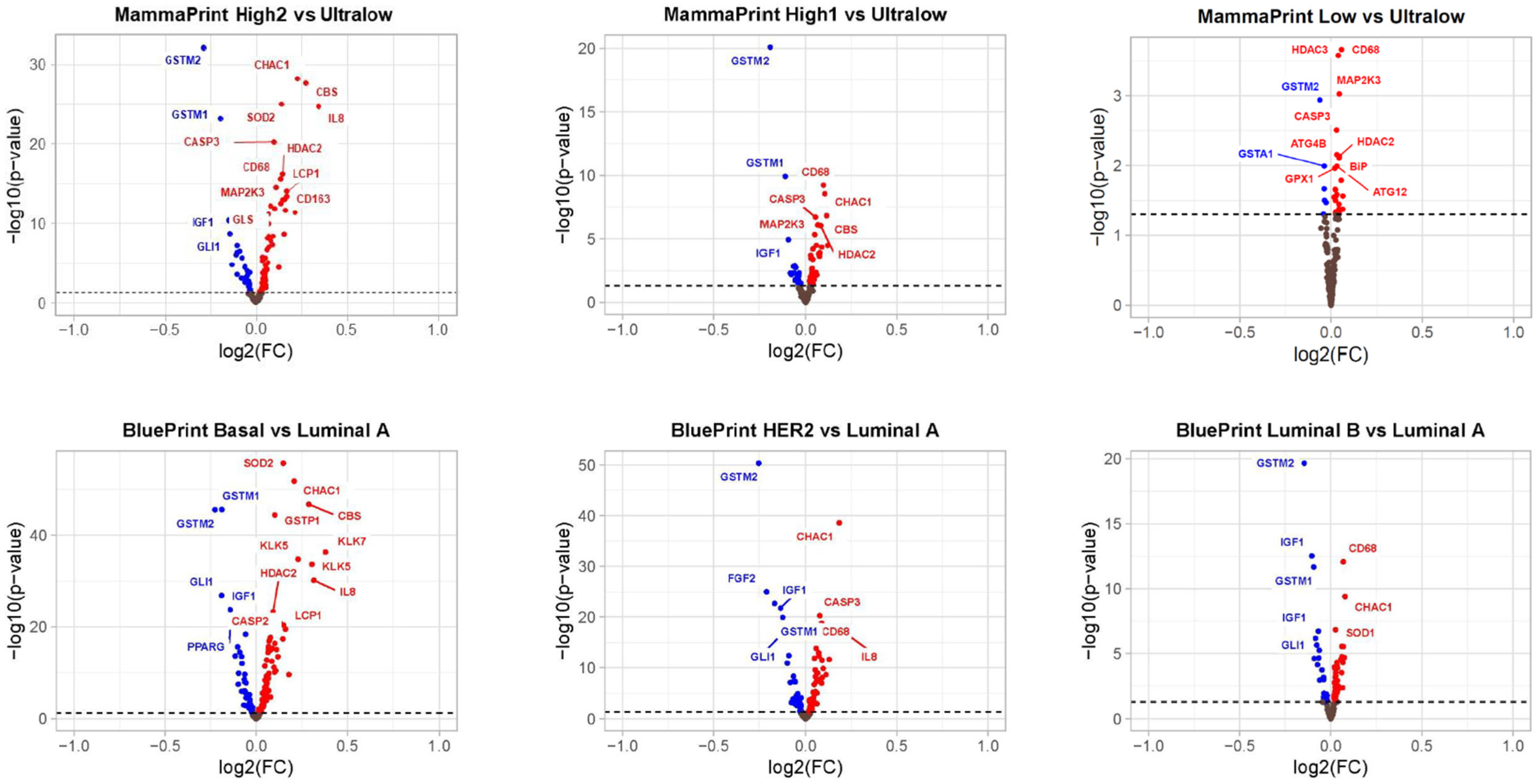 Biomedicines 13 01058 g006
