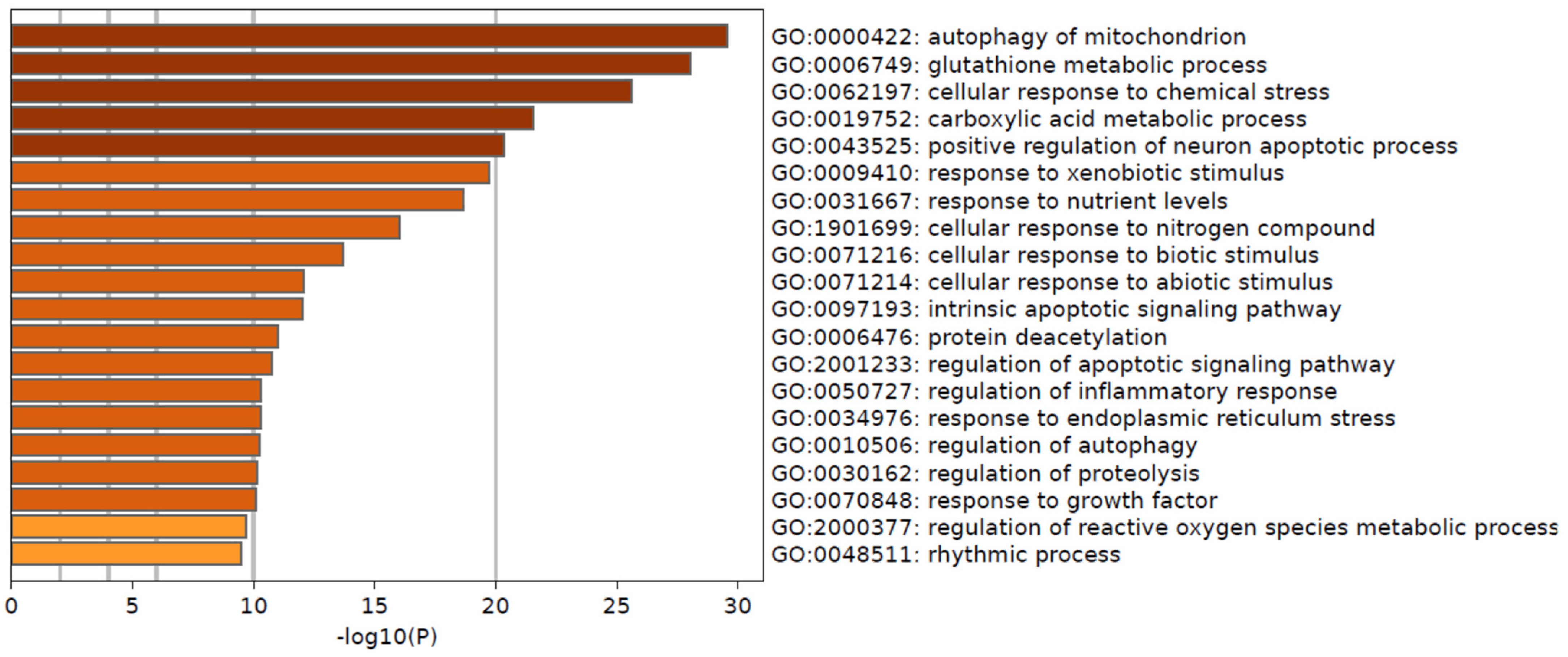 Biomedicines 13 01058 g007