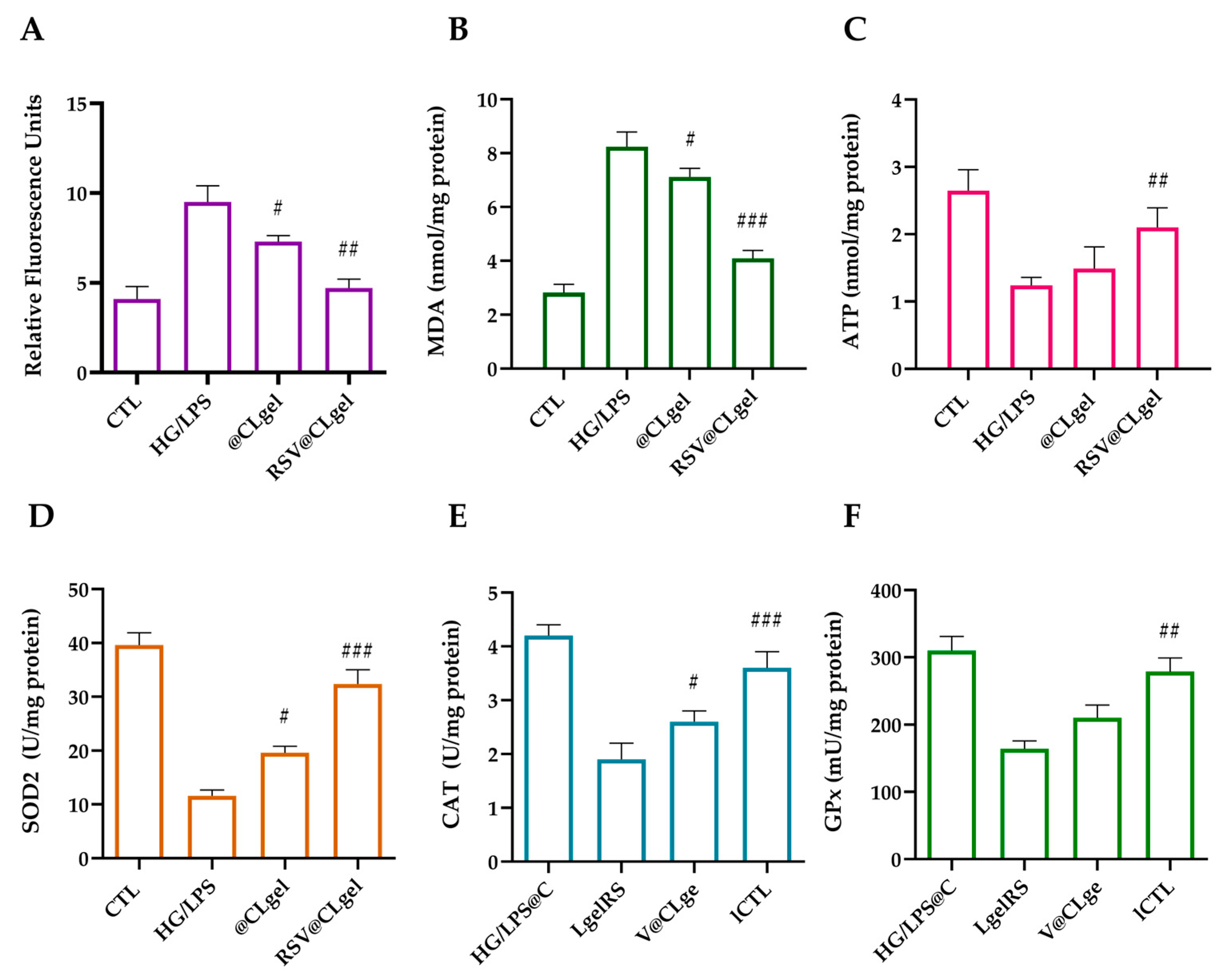 Biomedicines 13 01059 g004