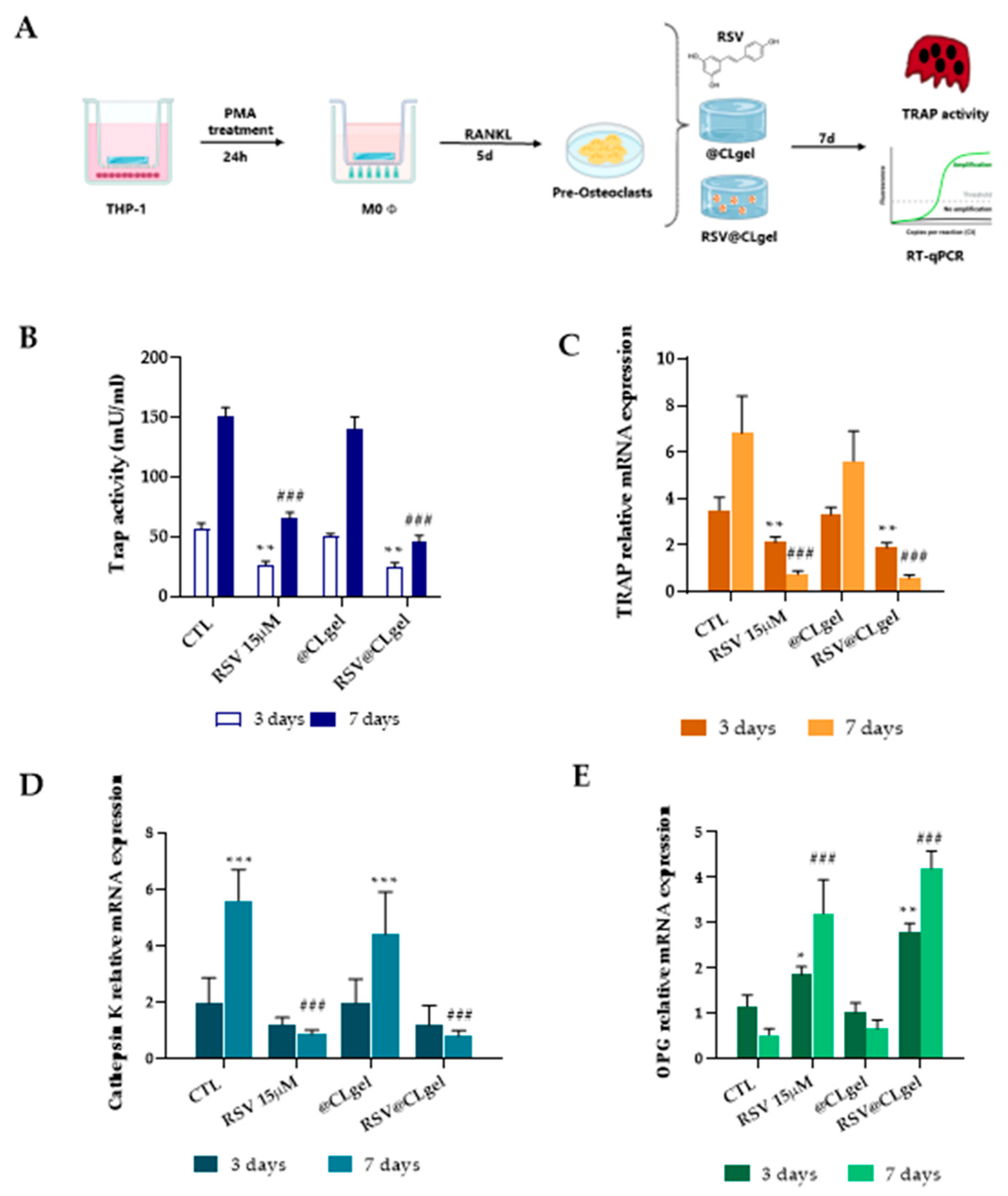 Biomedicines 13 01059 g006