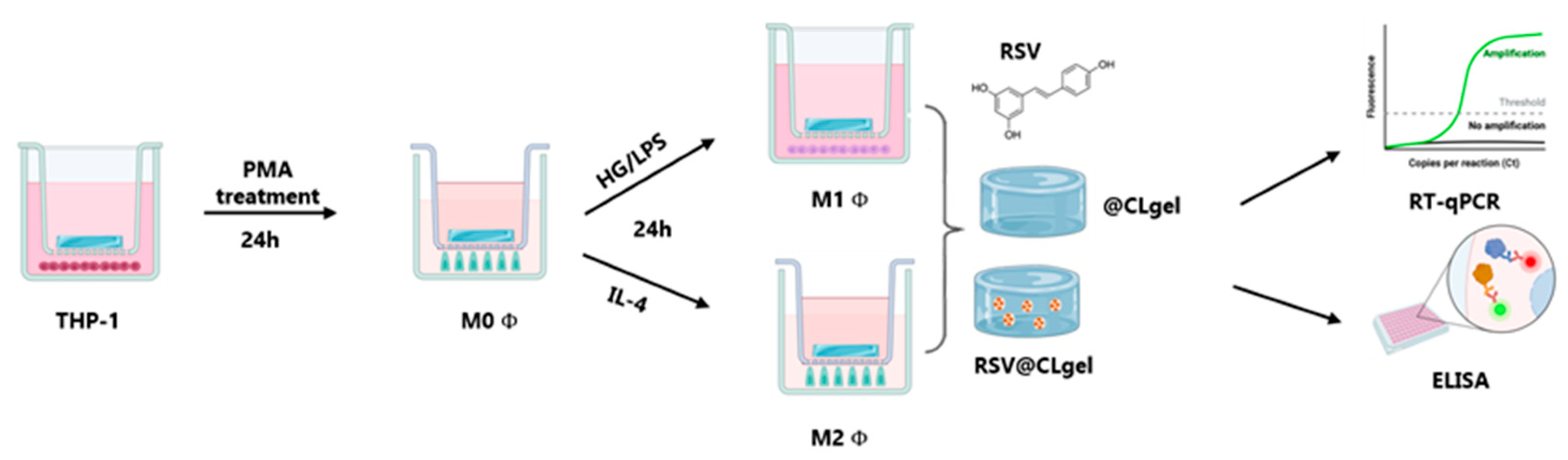 Biomedicines 13 01059 sch001
