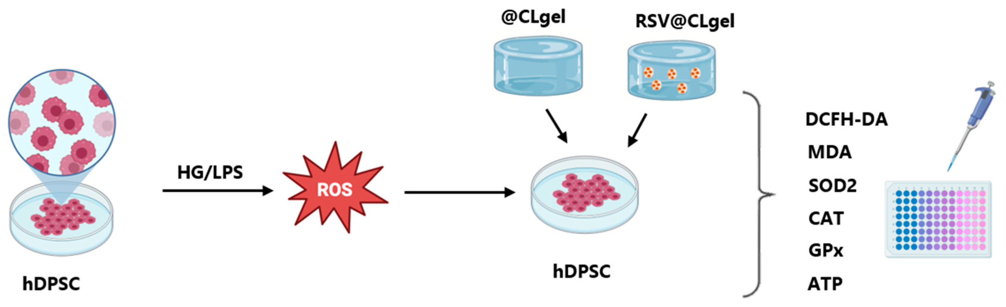 Biomedicines 13 01059 sch002