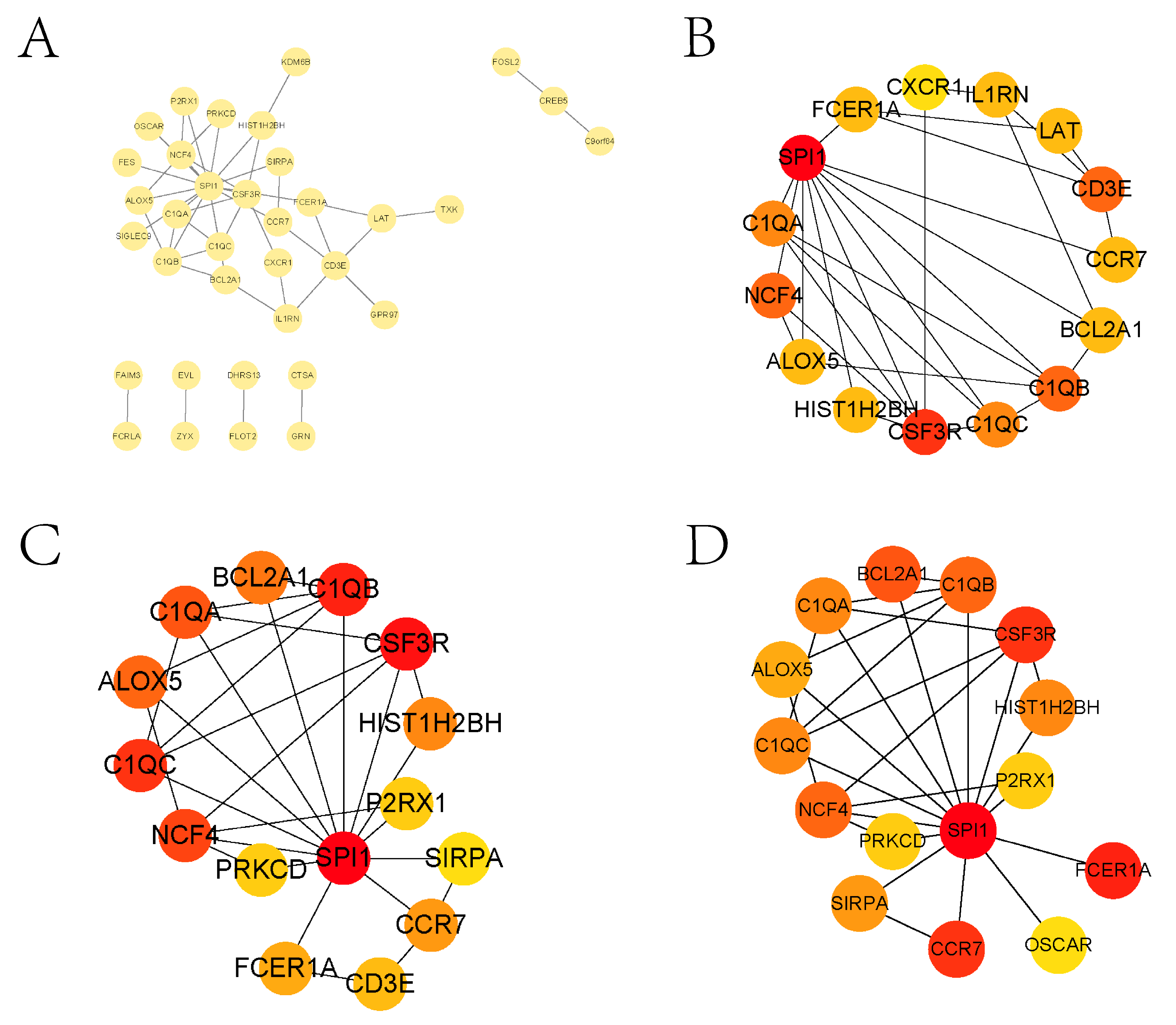 Biomedicines 13 01060 g003