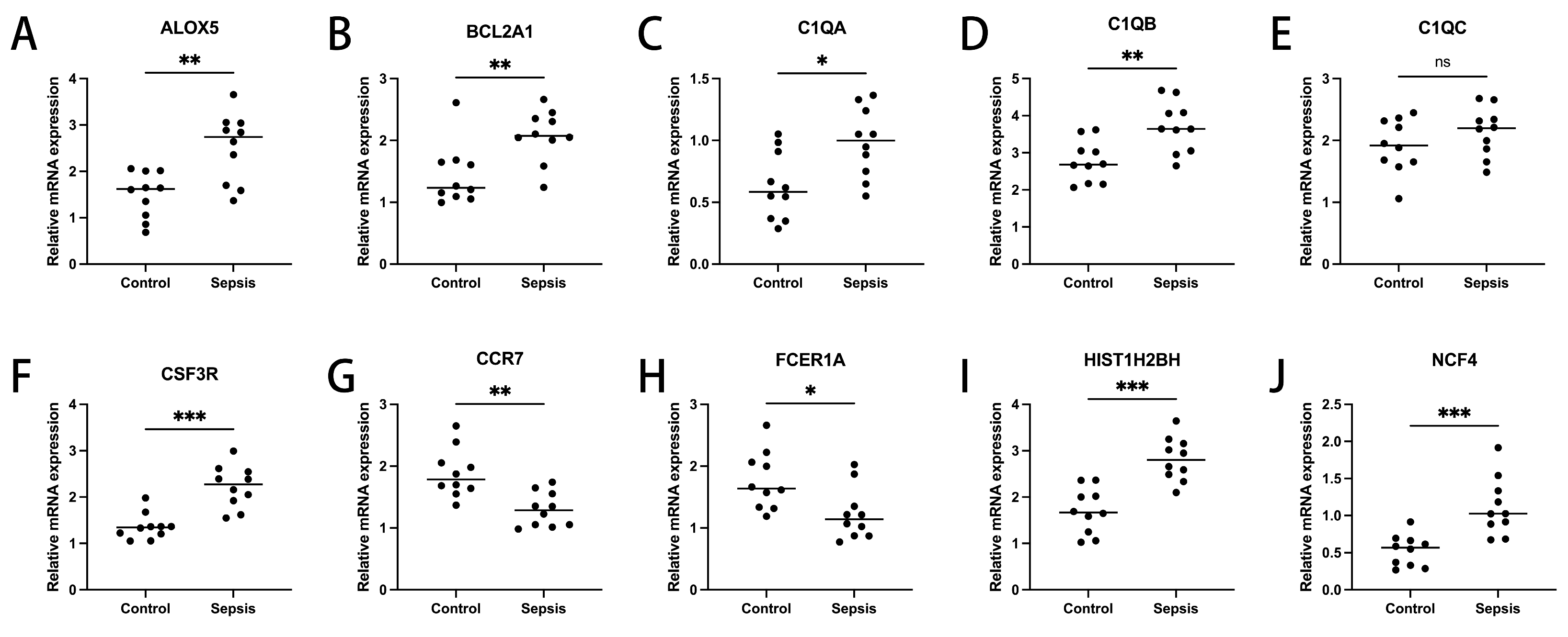 Biomedicines 13 01060 g006