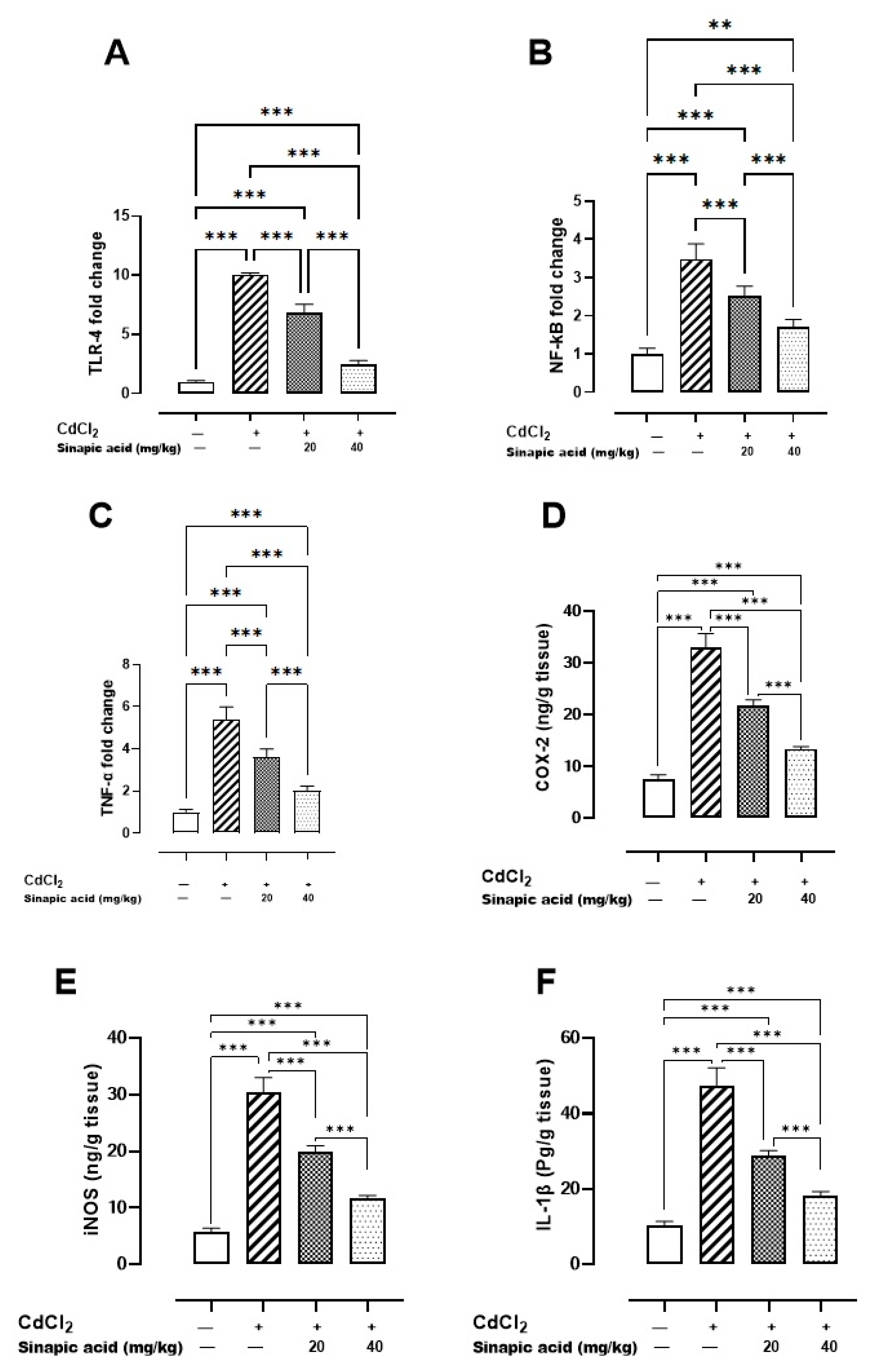Biomedicines 13 01065 g004