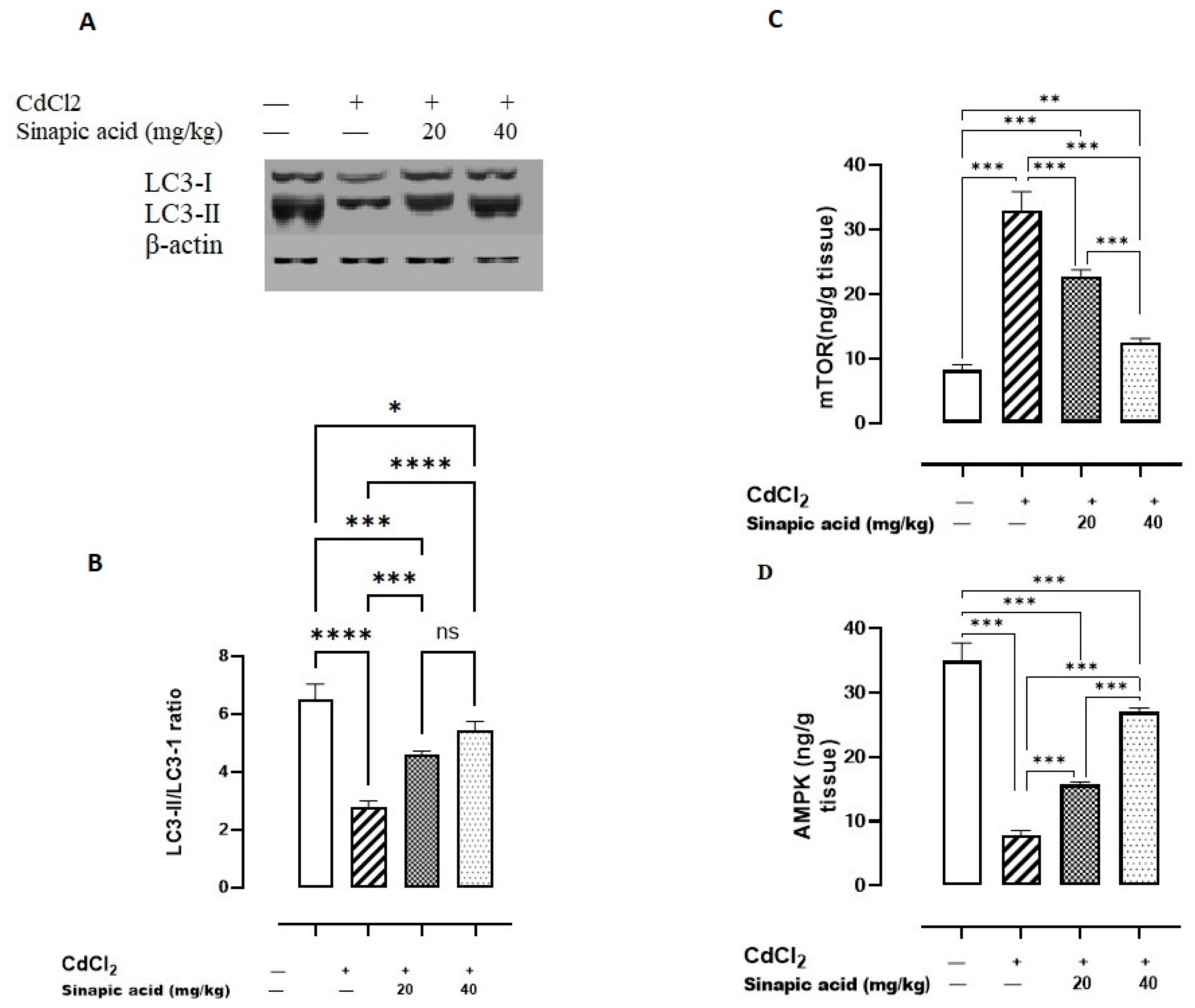 Biomedicines 13 01065 g005