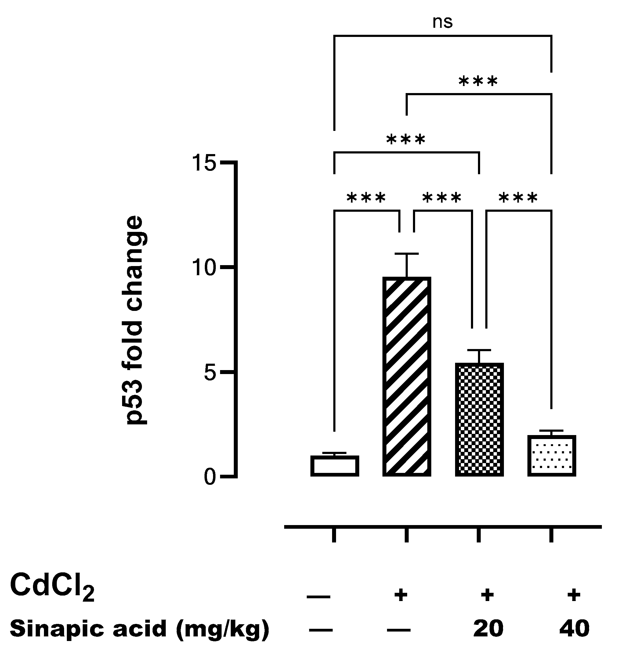 Biomedicines 13 01065 g007