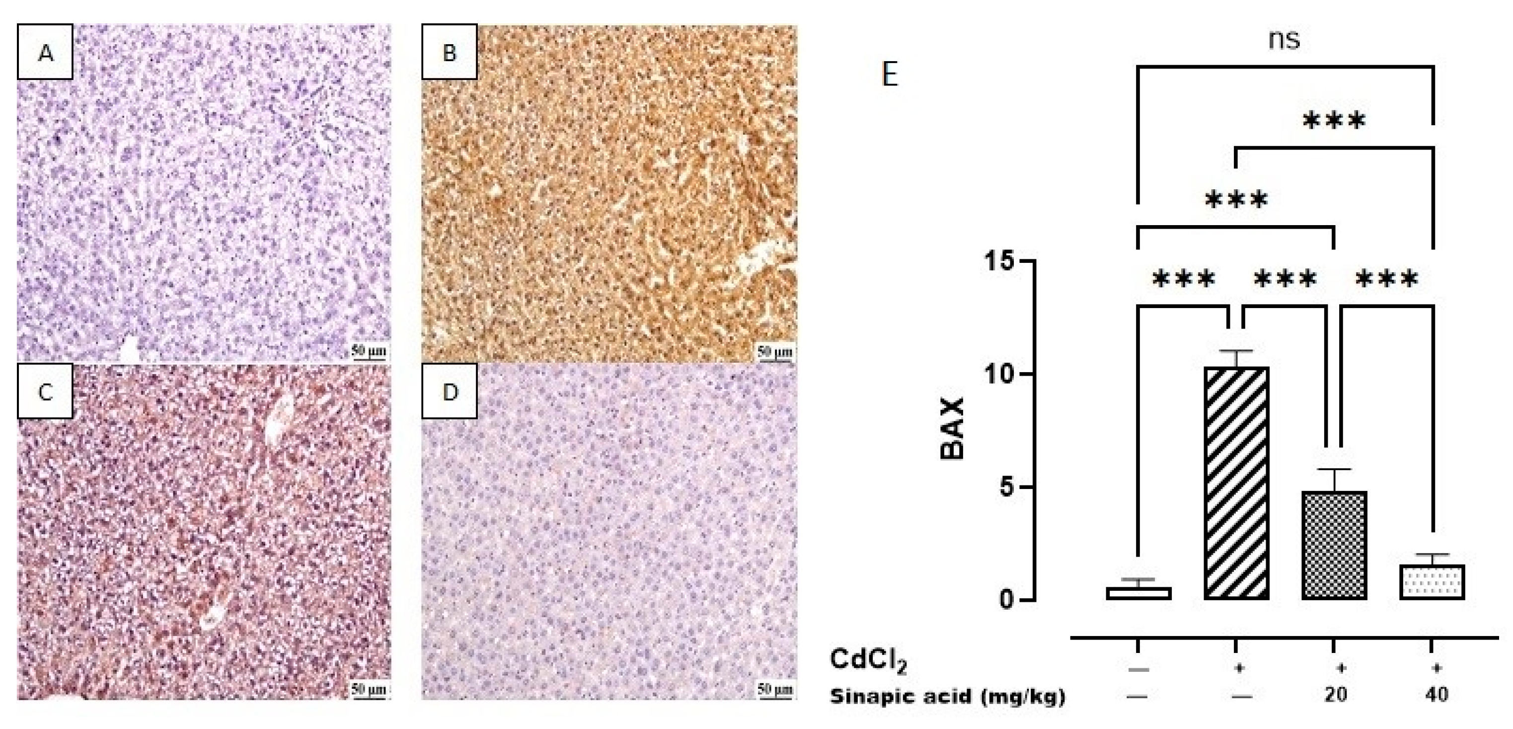 Biomedicines 13 01065 g009