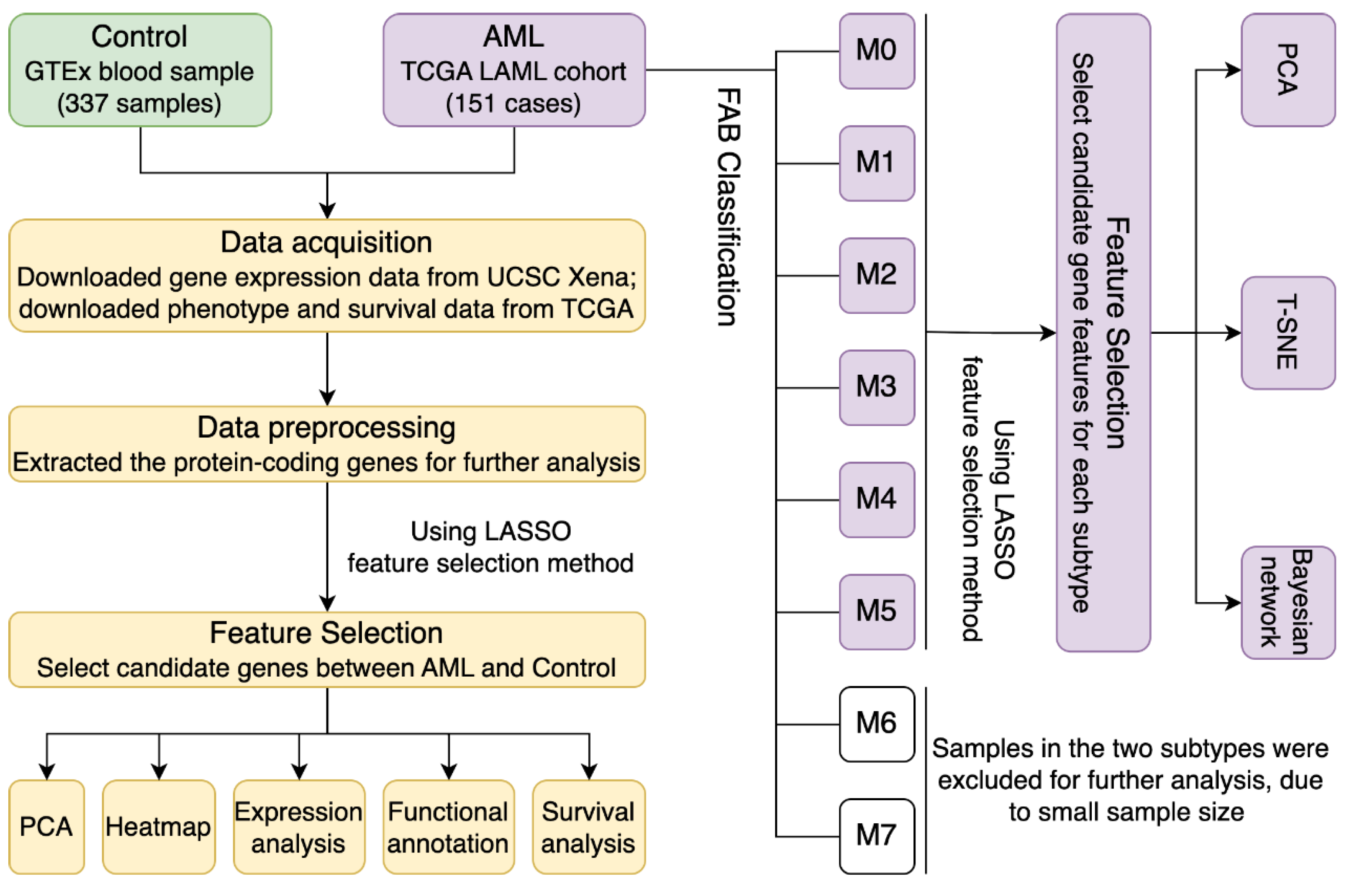 Biomedicines 13 01067 g001