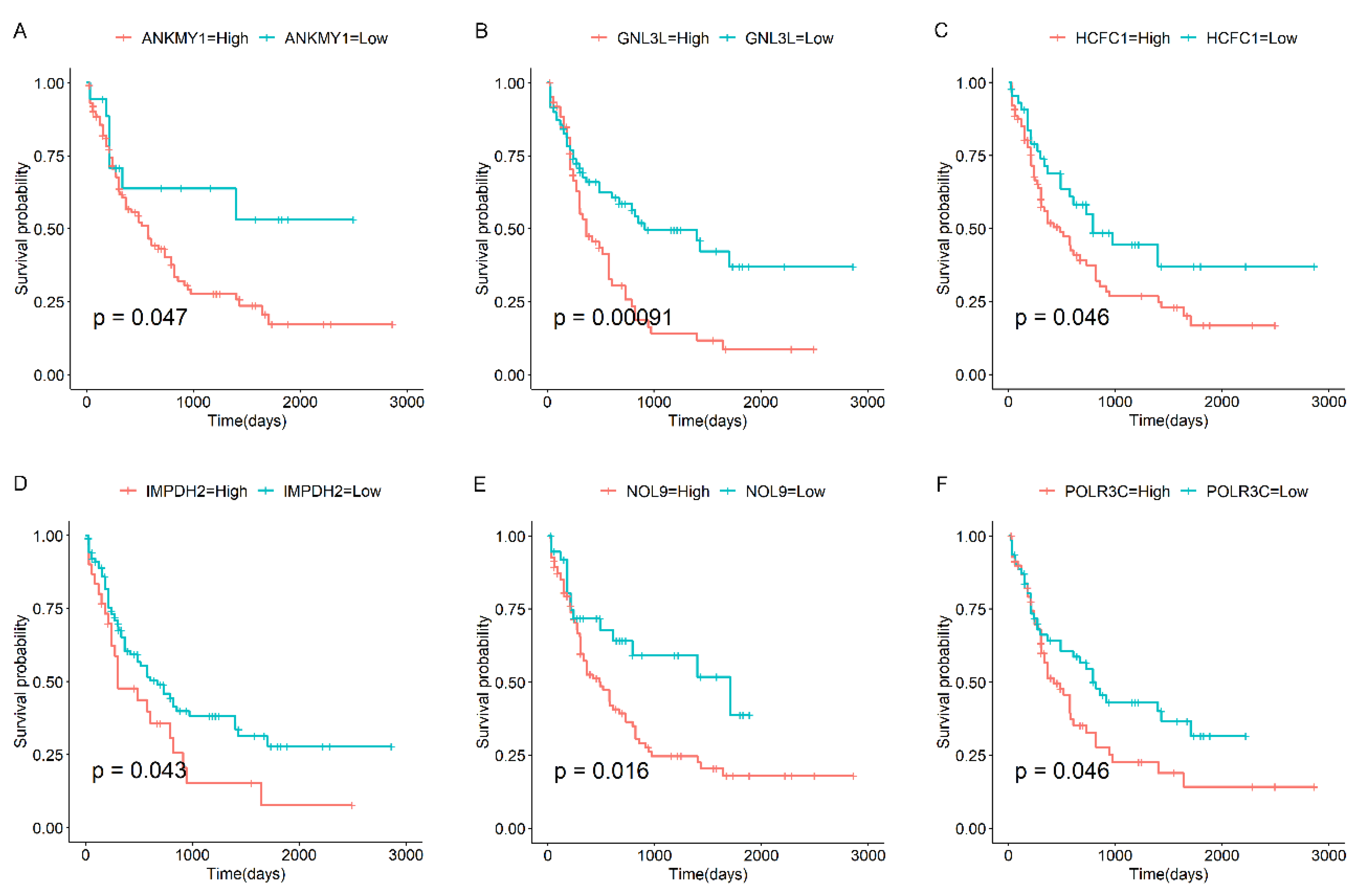 Biomedicines 13 01067 g005