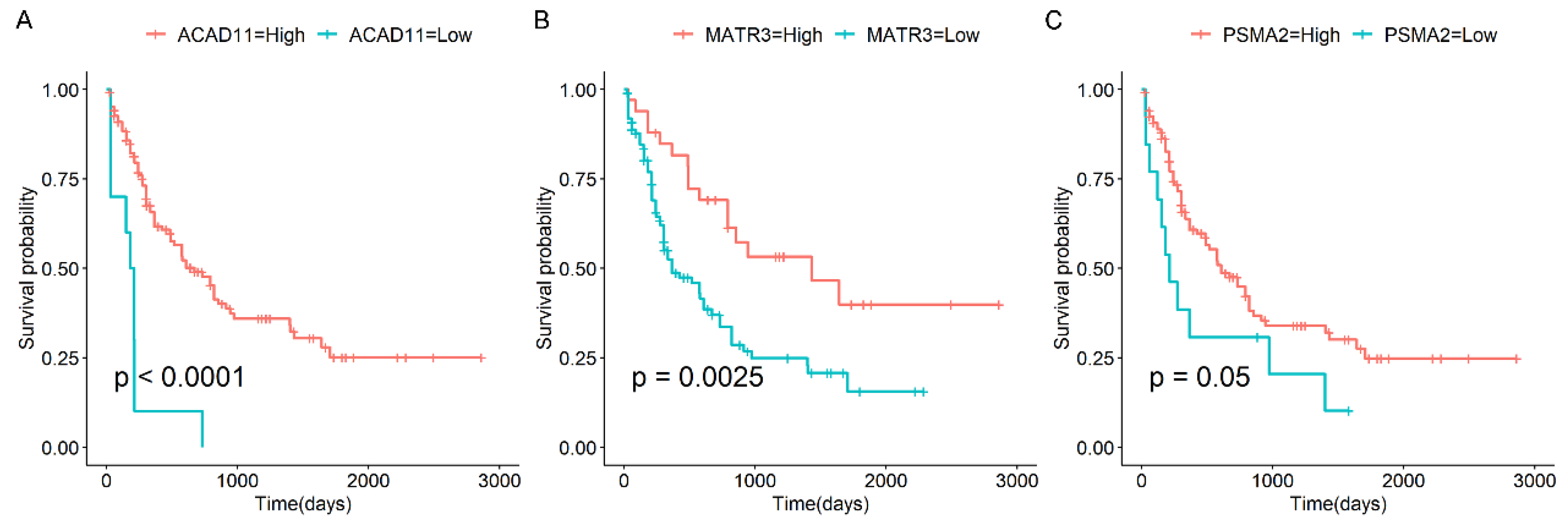 Biomedicines 13 01067 g006