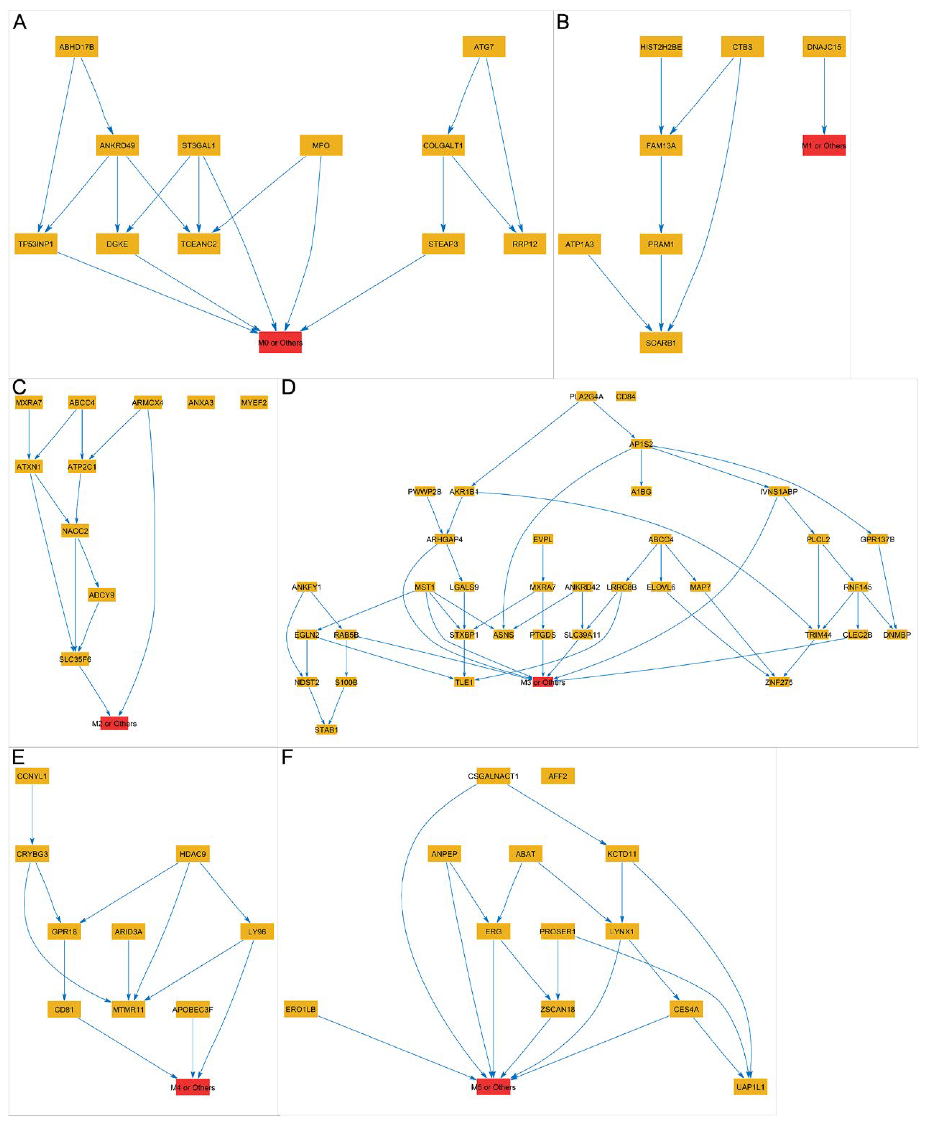 Biomedicines 13 01067 g008