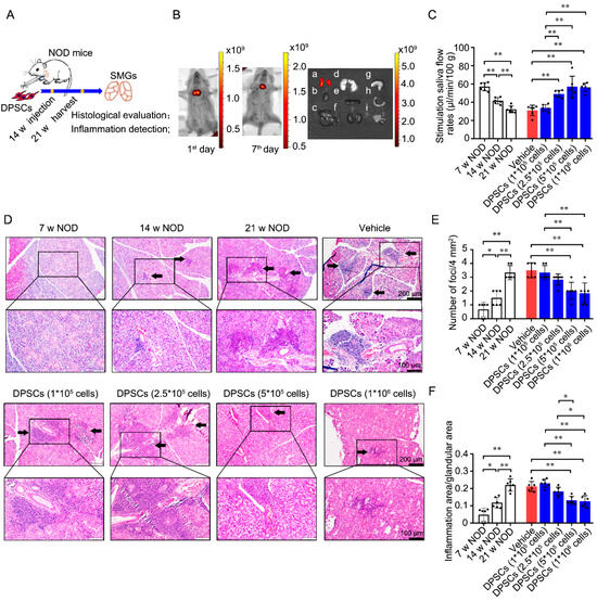 その他 3/3 アクサー オーバーヘッドシャワー: アクサーシャワー, 3シャワーモード