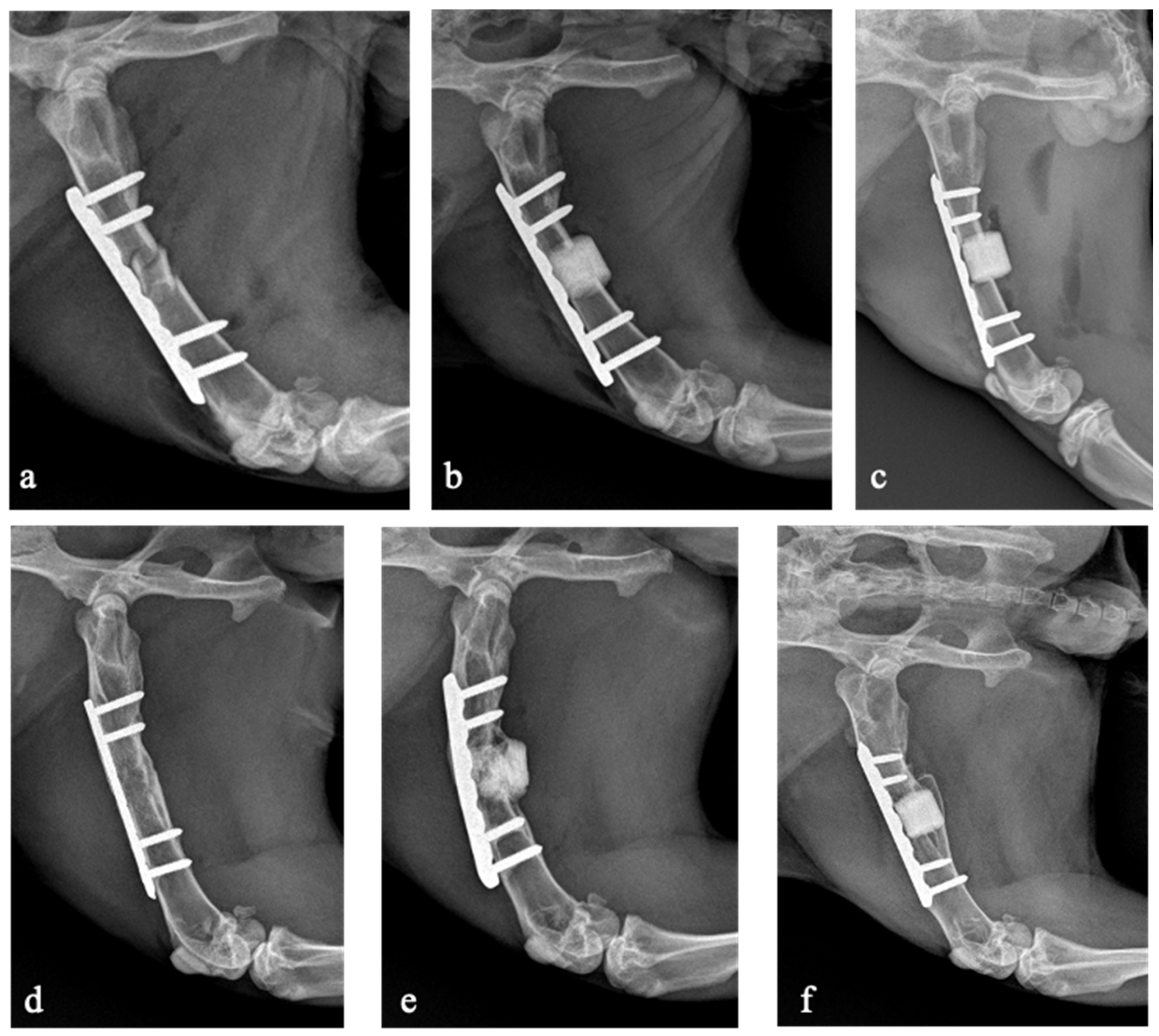 Biomedicines 13 01070 g003