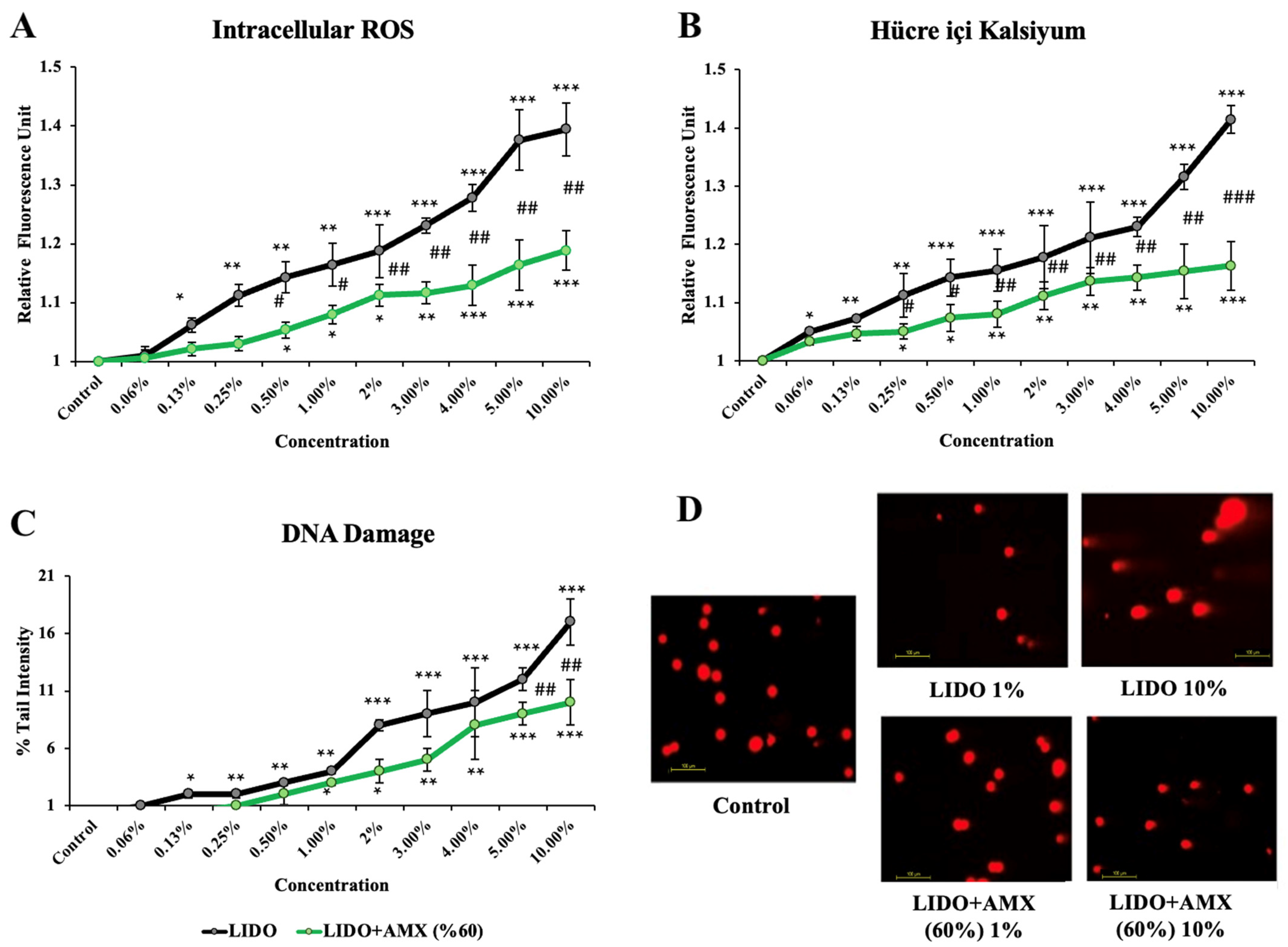 Biomedicines 13 01074 g002