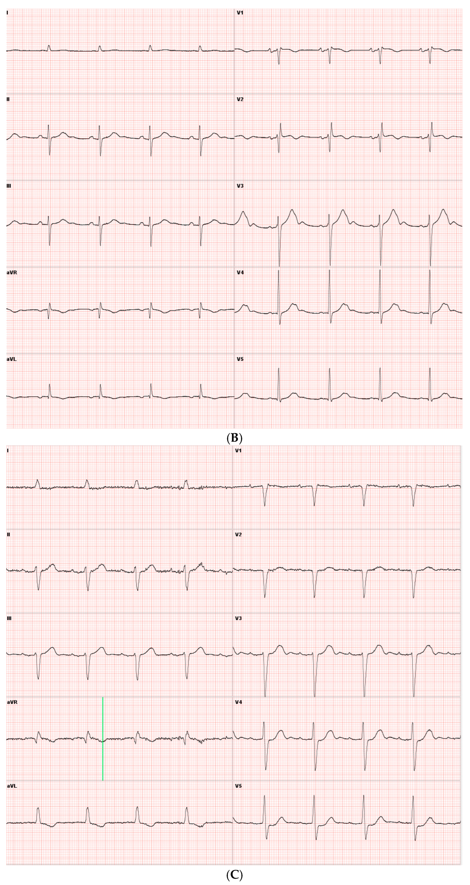 Biomedicines 13 01078 g001b