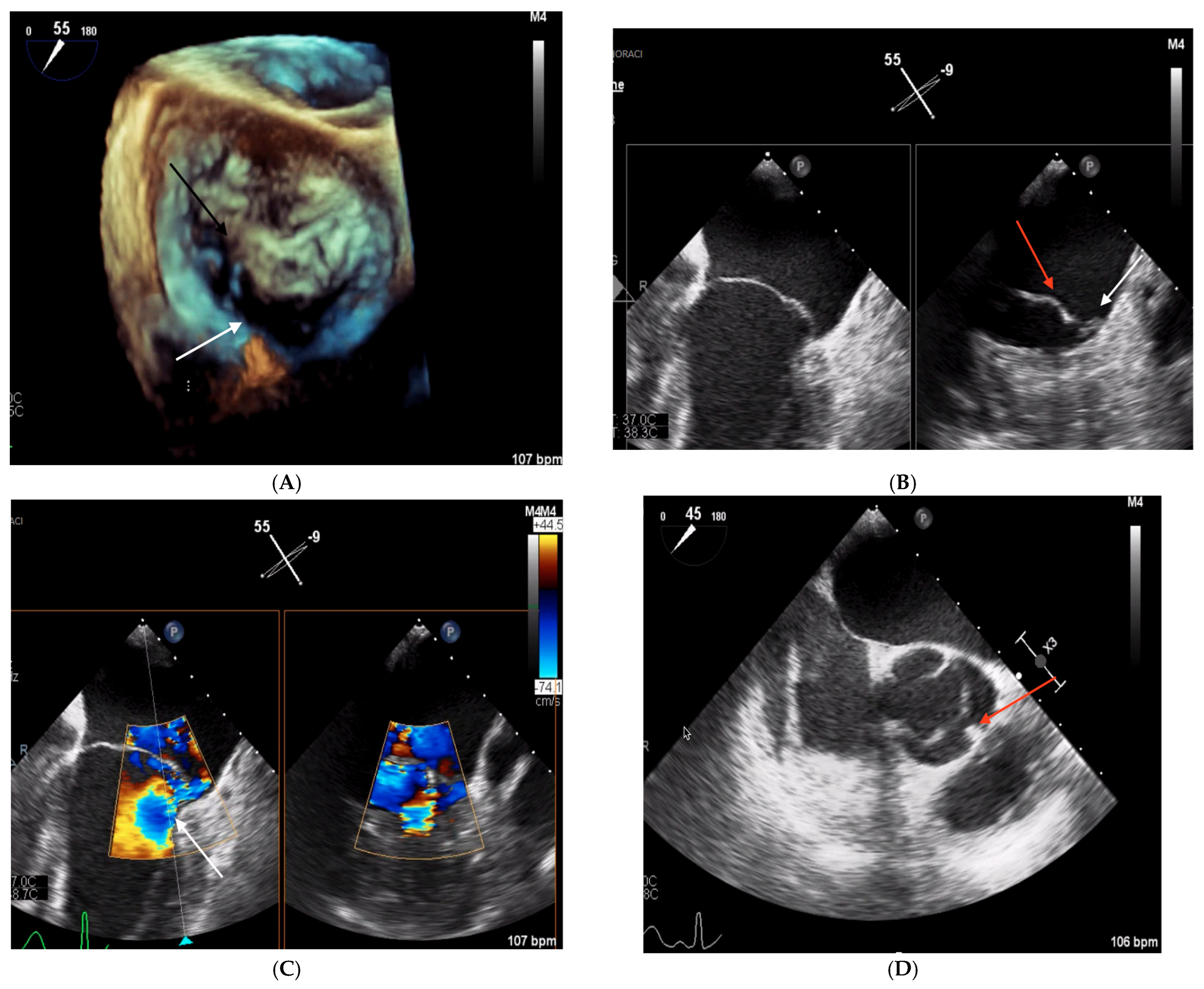 Biomedicines 13 01078 g002