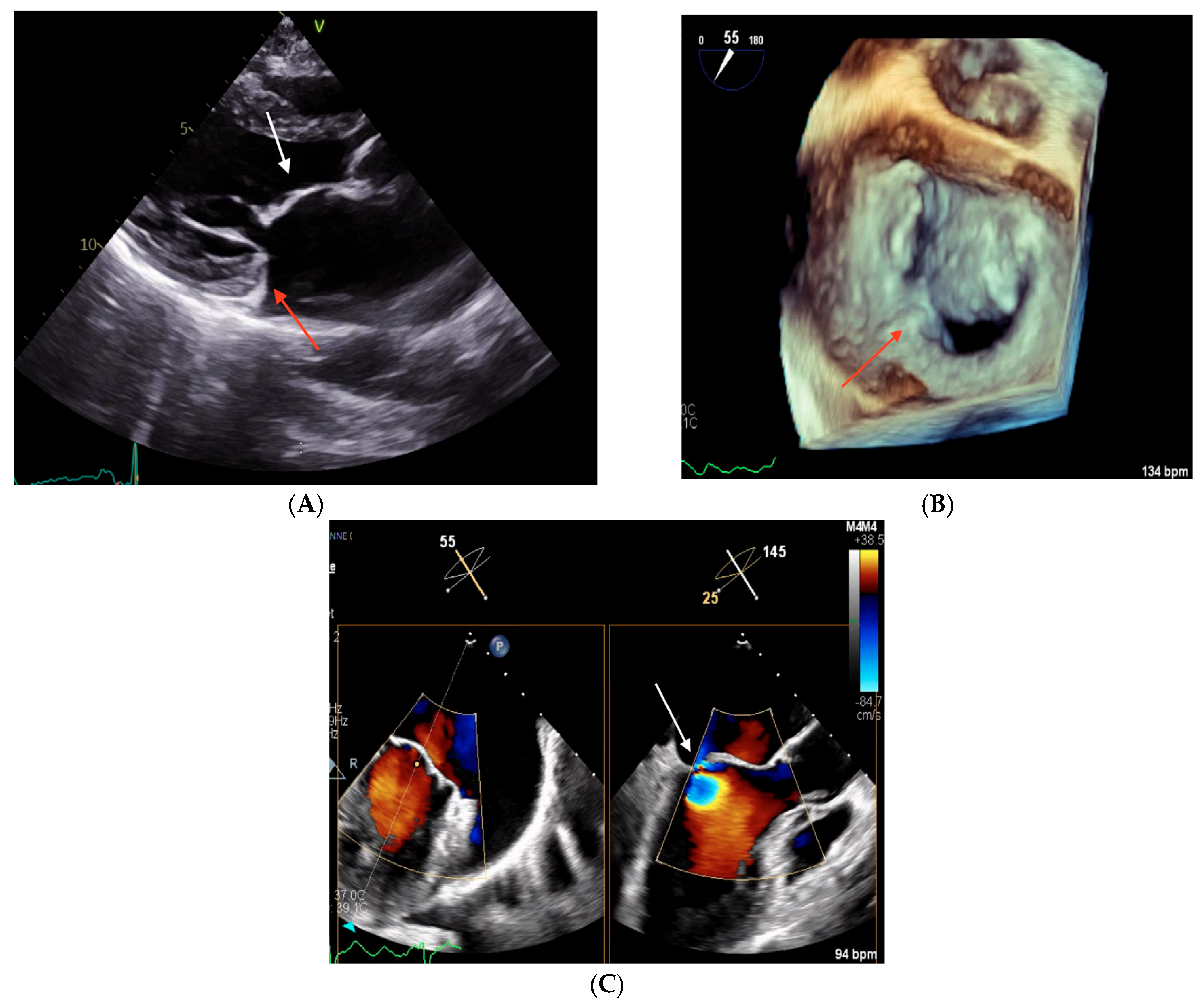 Biomedicines 13 01078 g004