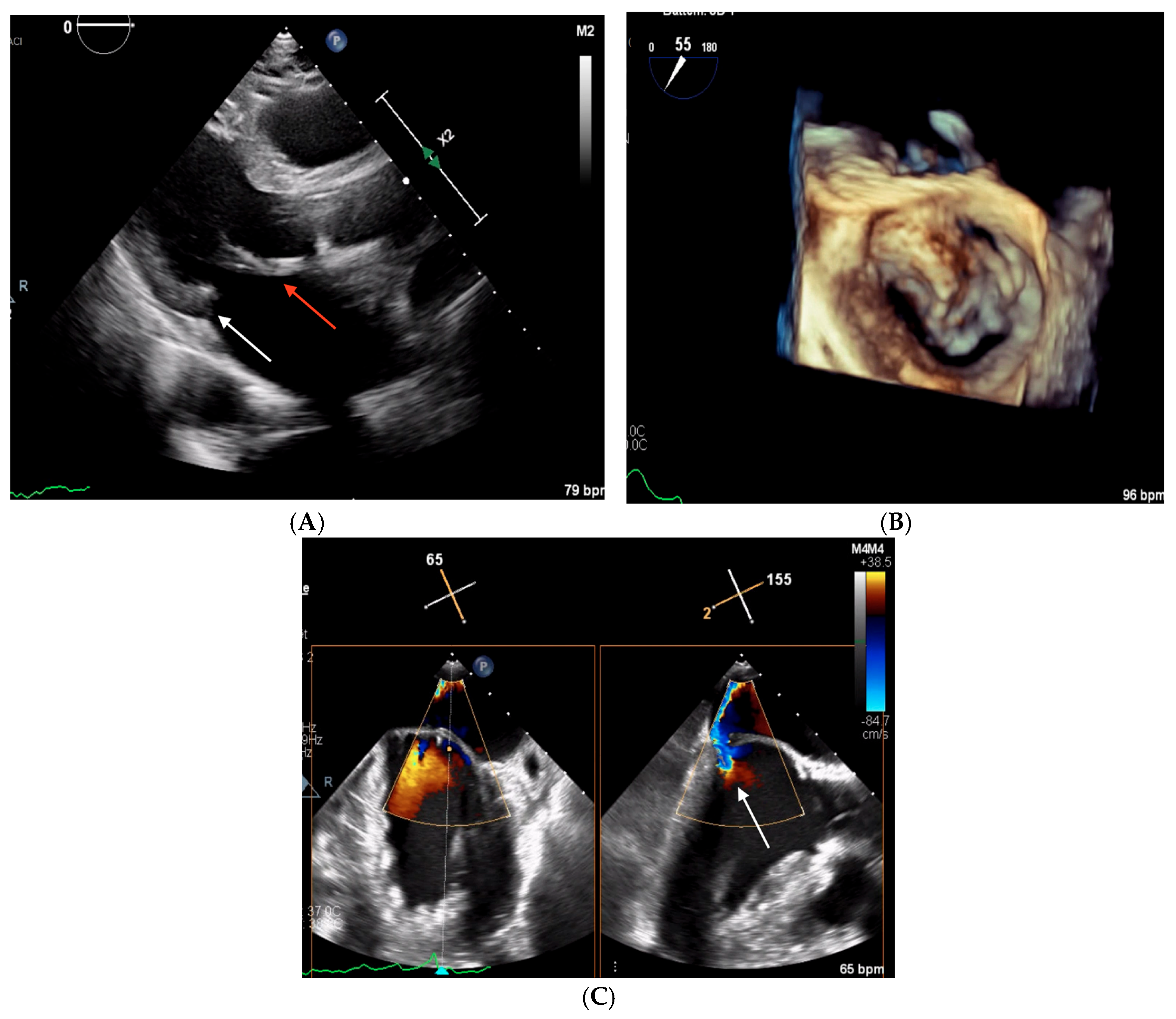 Biomedicines 13 01078 g005
