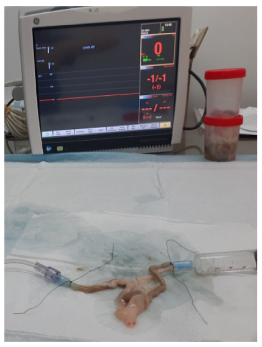 Biomedicines 13 01079 g002