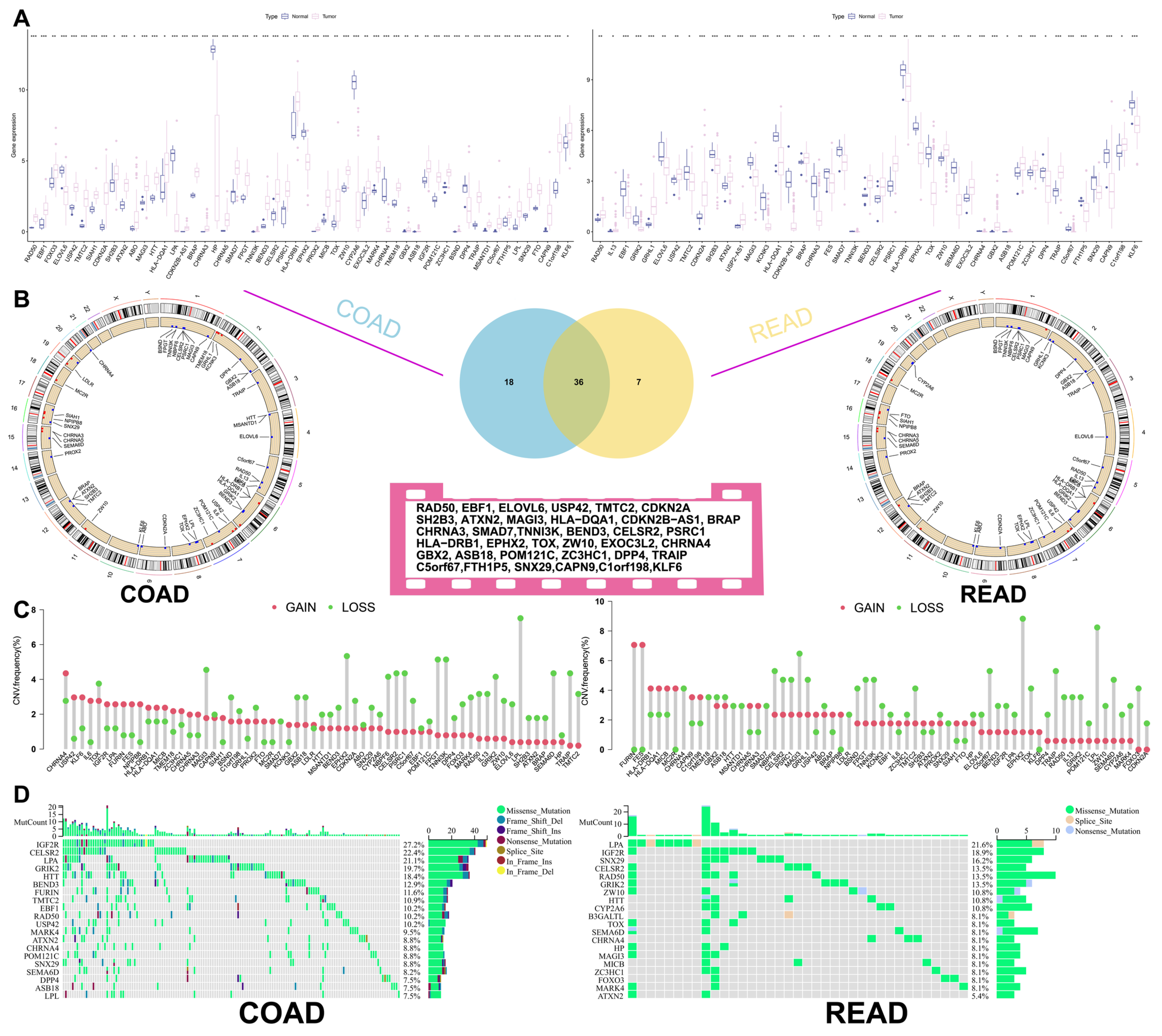 Biomedicines 13 01085 g001