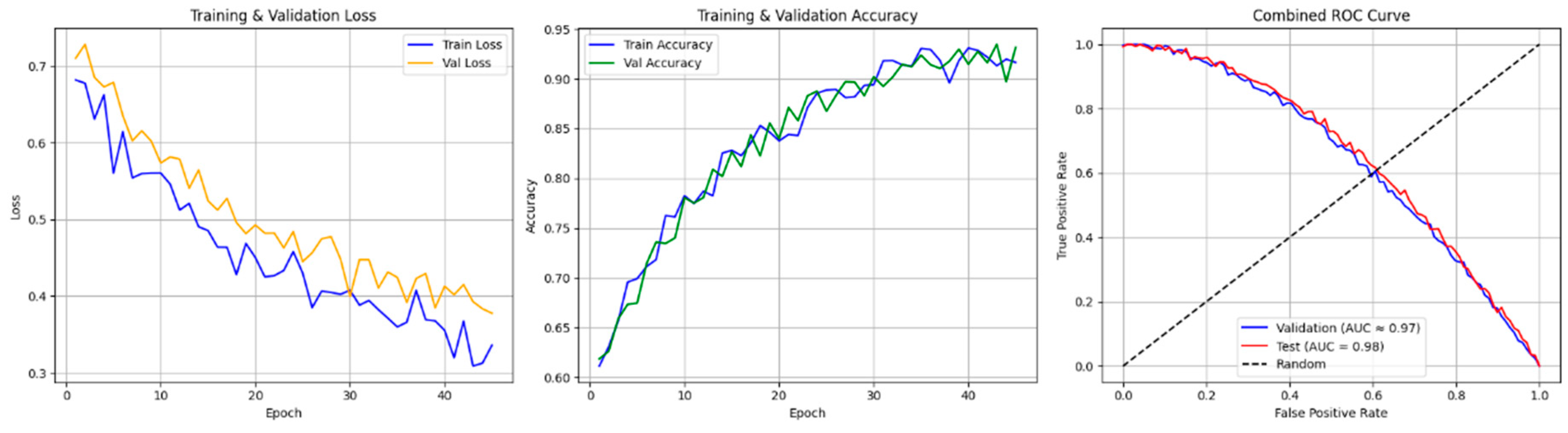 Biomedicines 13 01090 g008