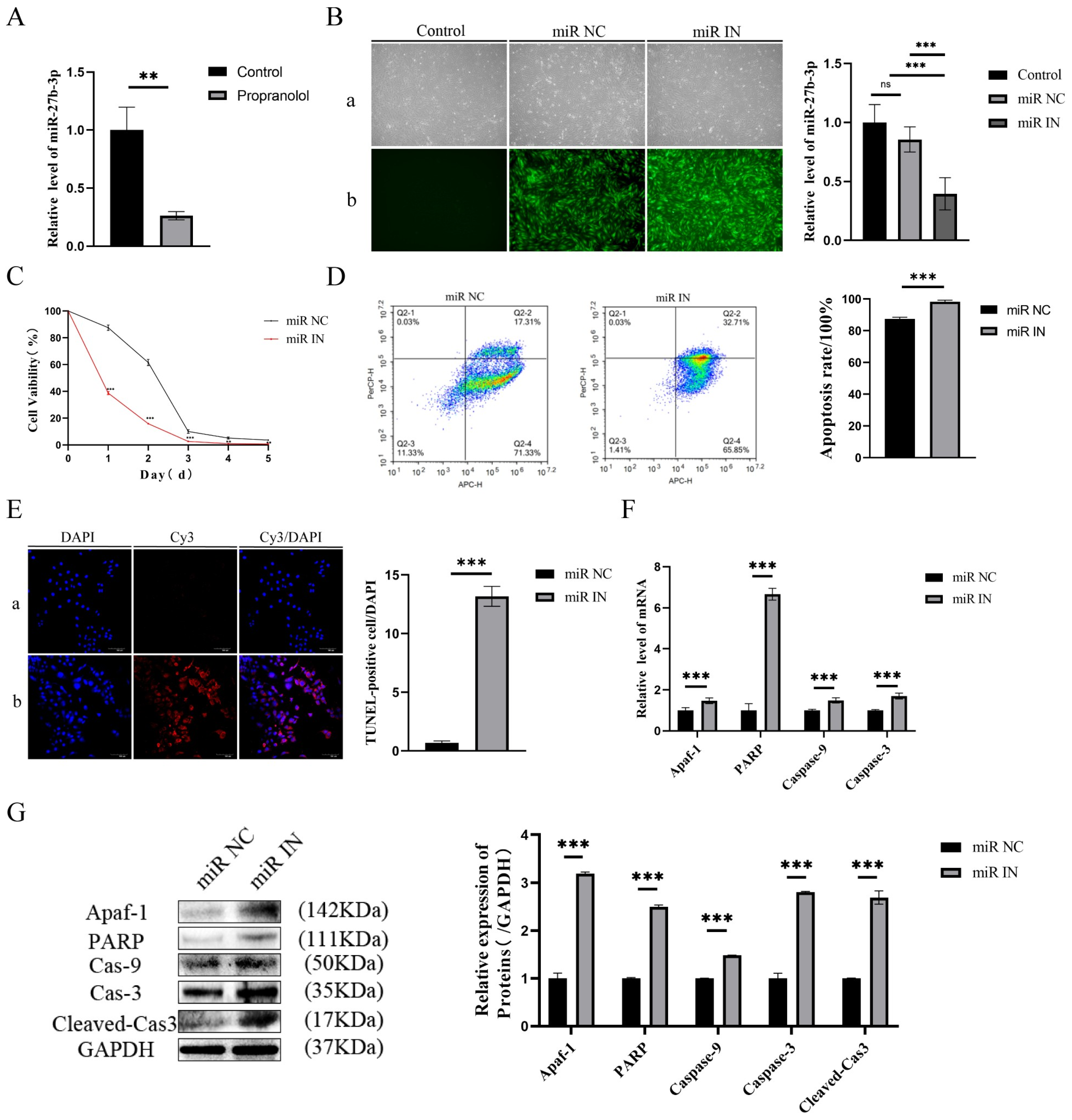 Biomedicines 13 01092 g002