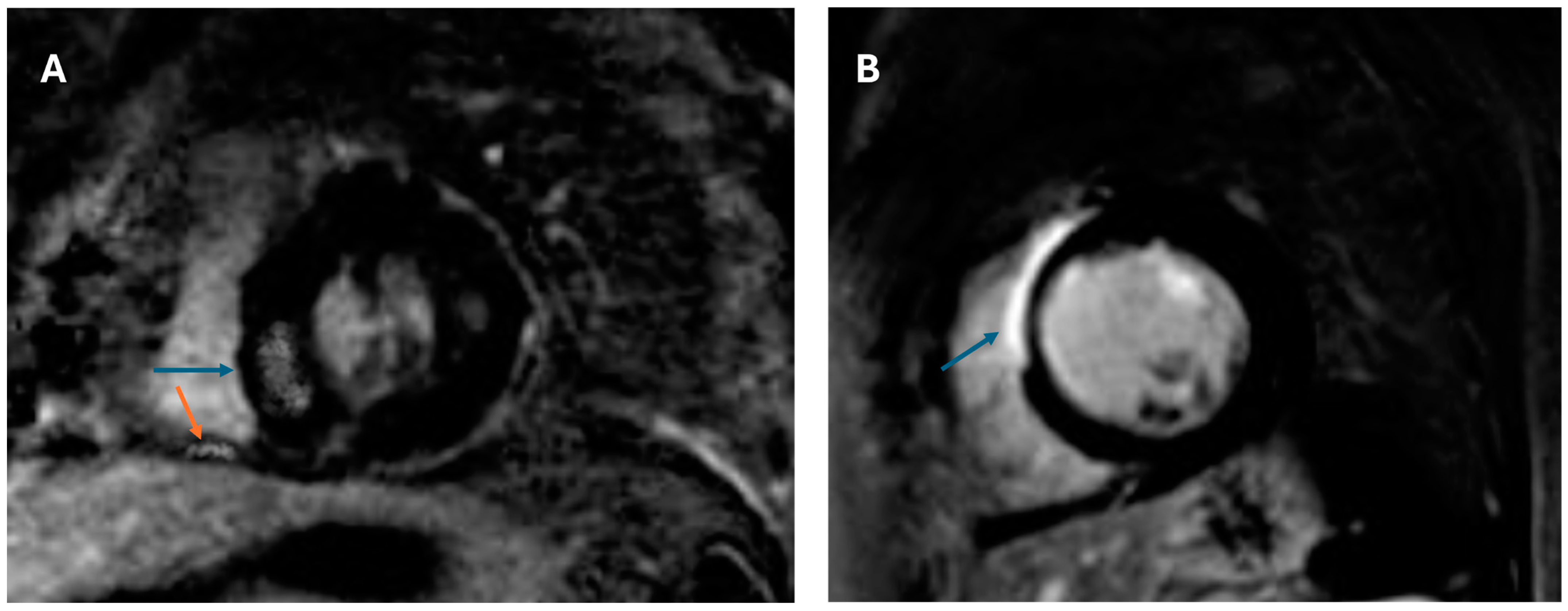 Biomedicines 13 01093 g001