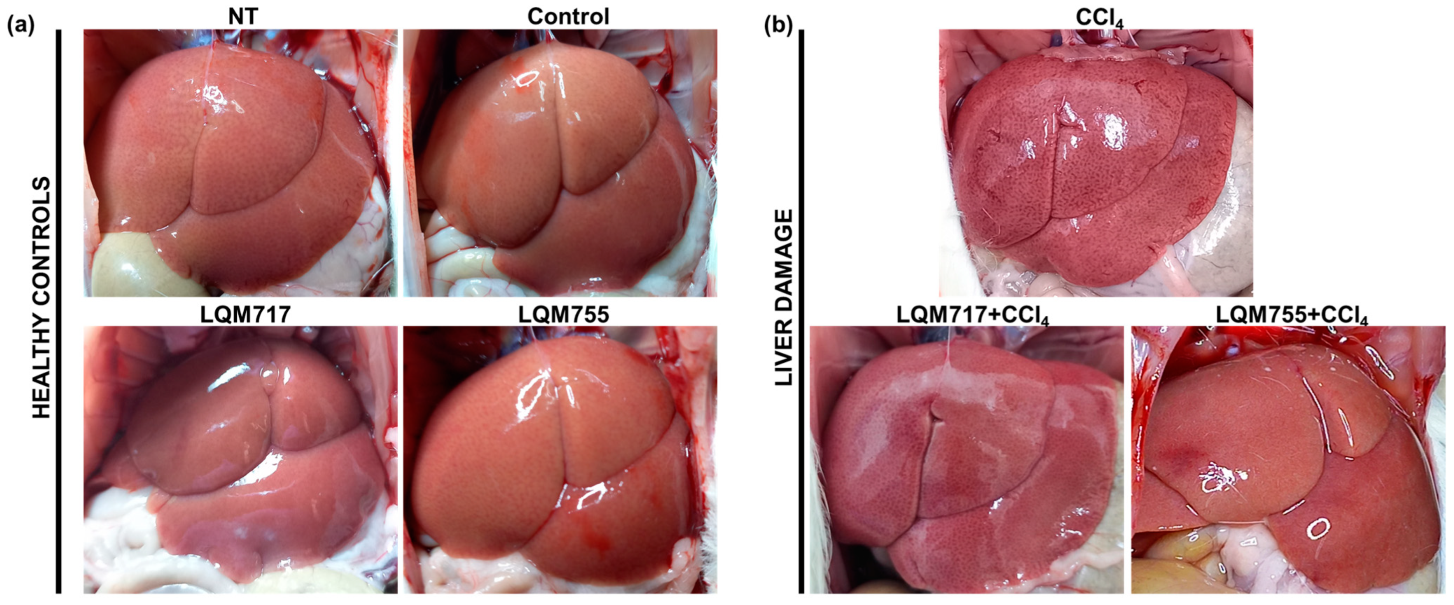 Biomedicines 13 01094 g009