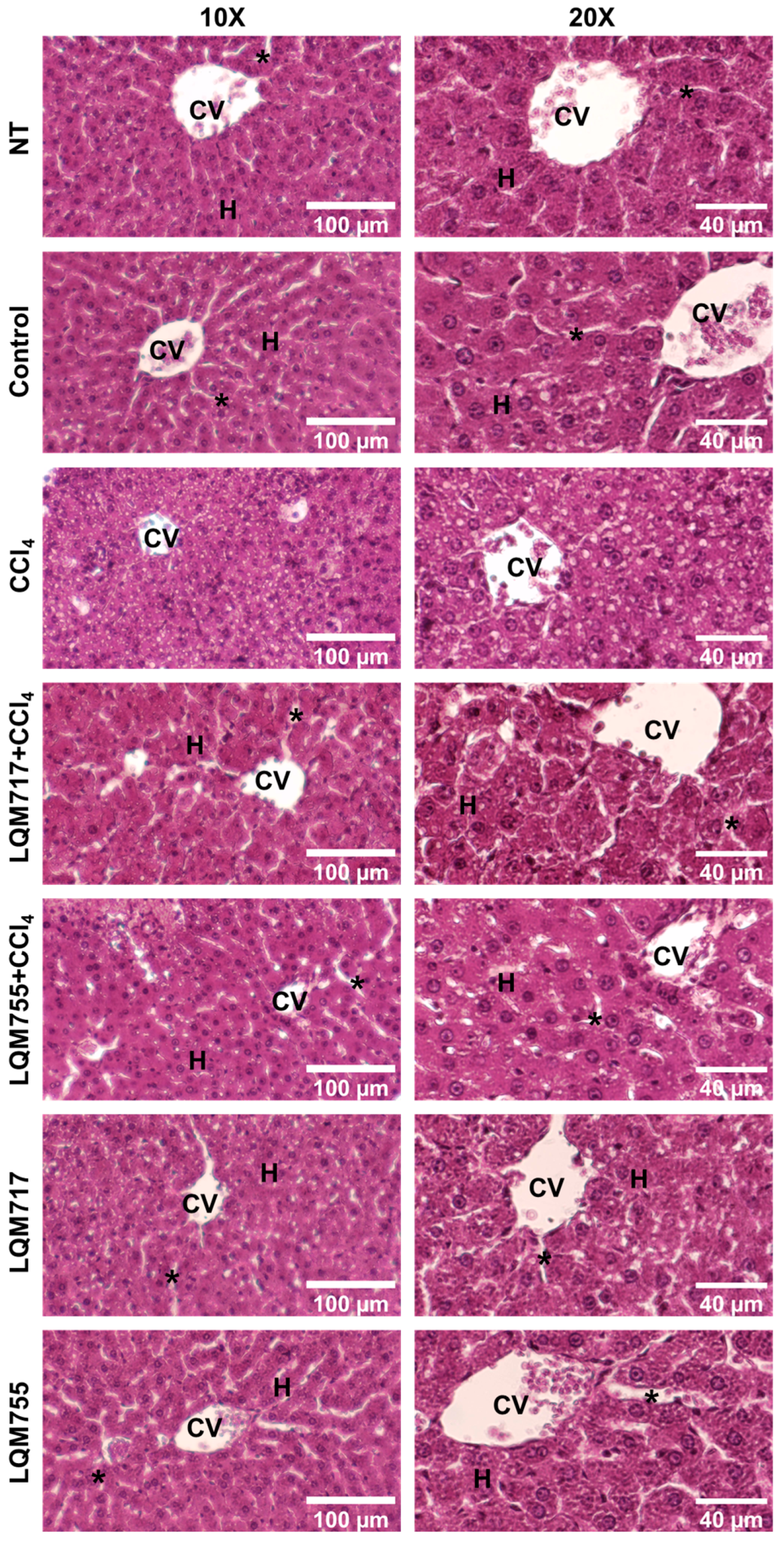 Biomedicines 13 01094 g011