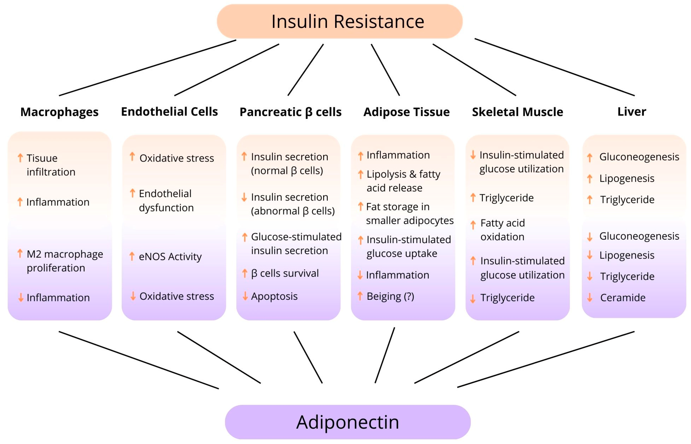 Biomedicines 13 01098 g004 Biomedicines 13 01098 g004