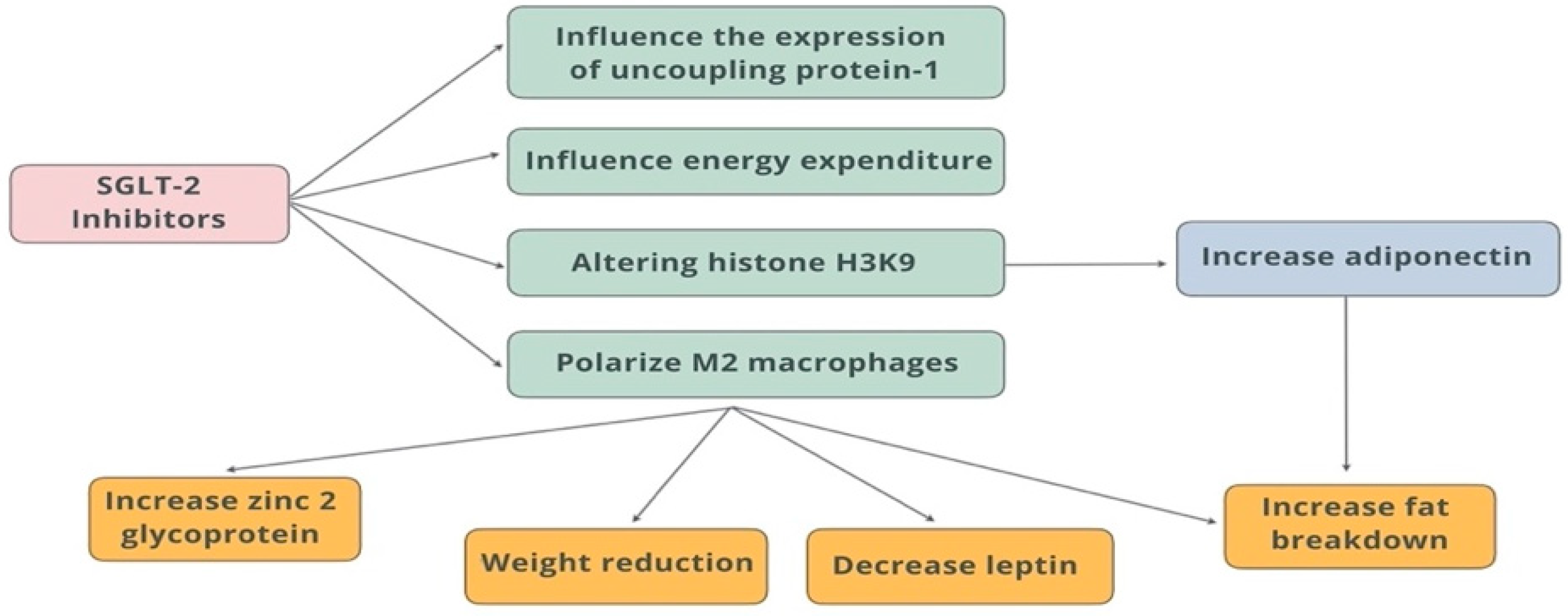 Biomedicines 13 01098 g005 Biomedicines 13 01098 g005