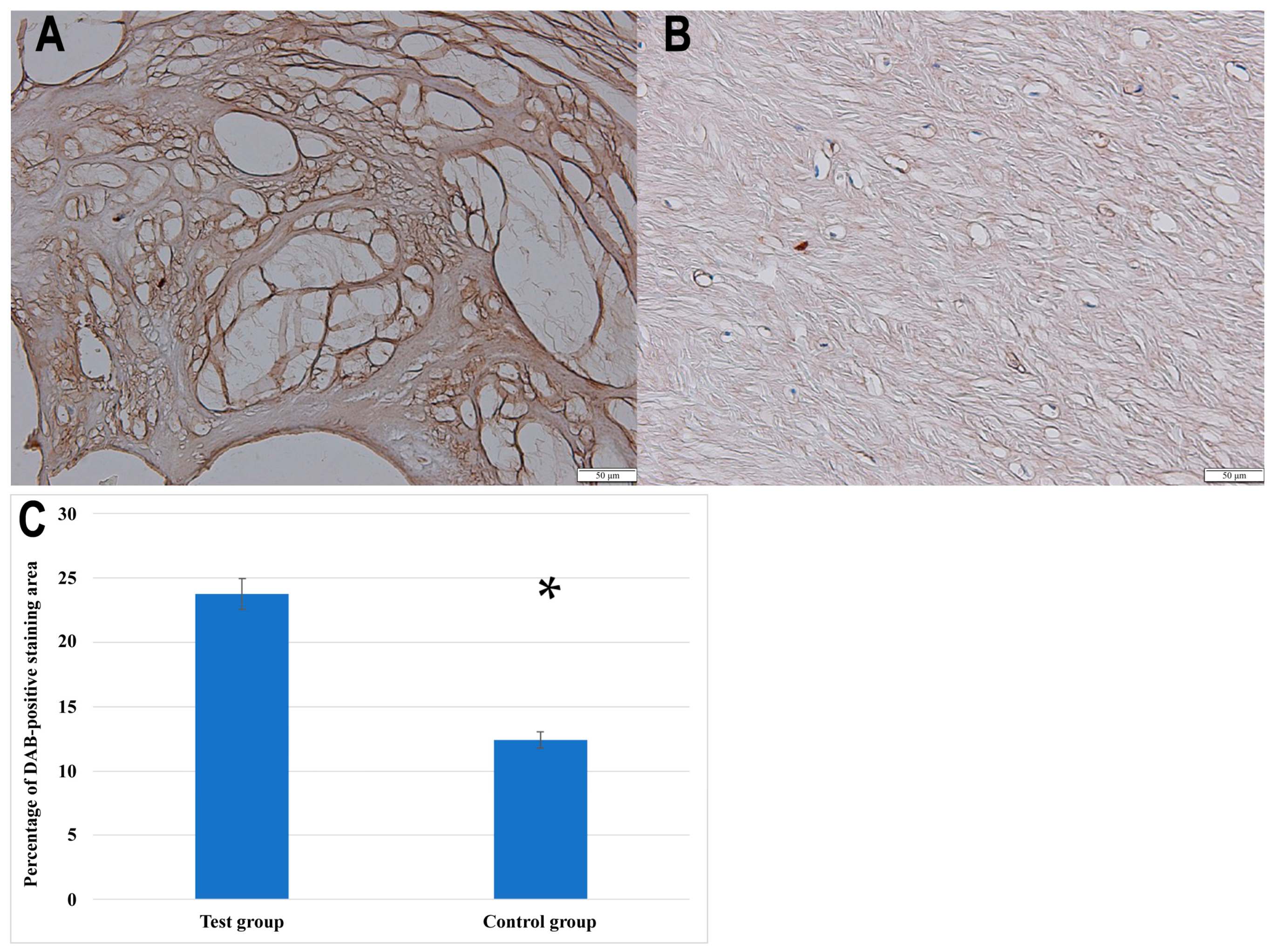 Biomedicines 13 01102 g002
