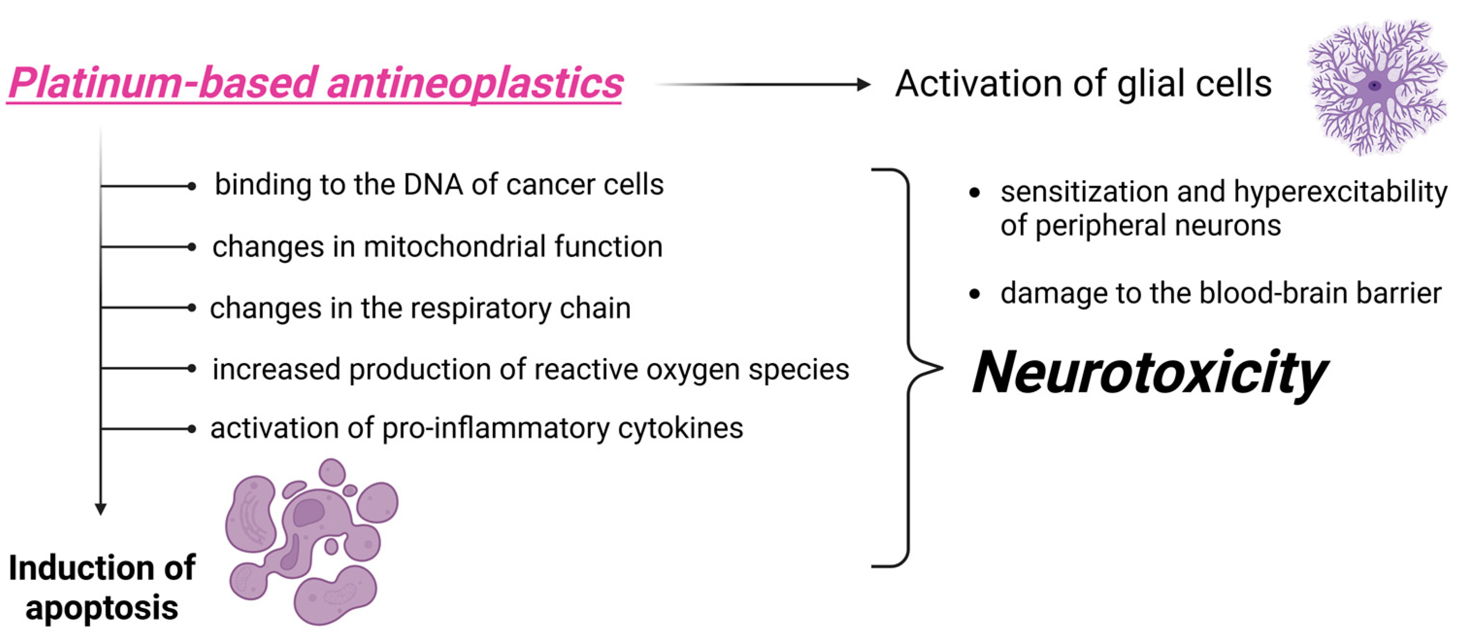 Biomedicines 13 01103 g001