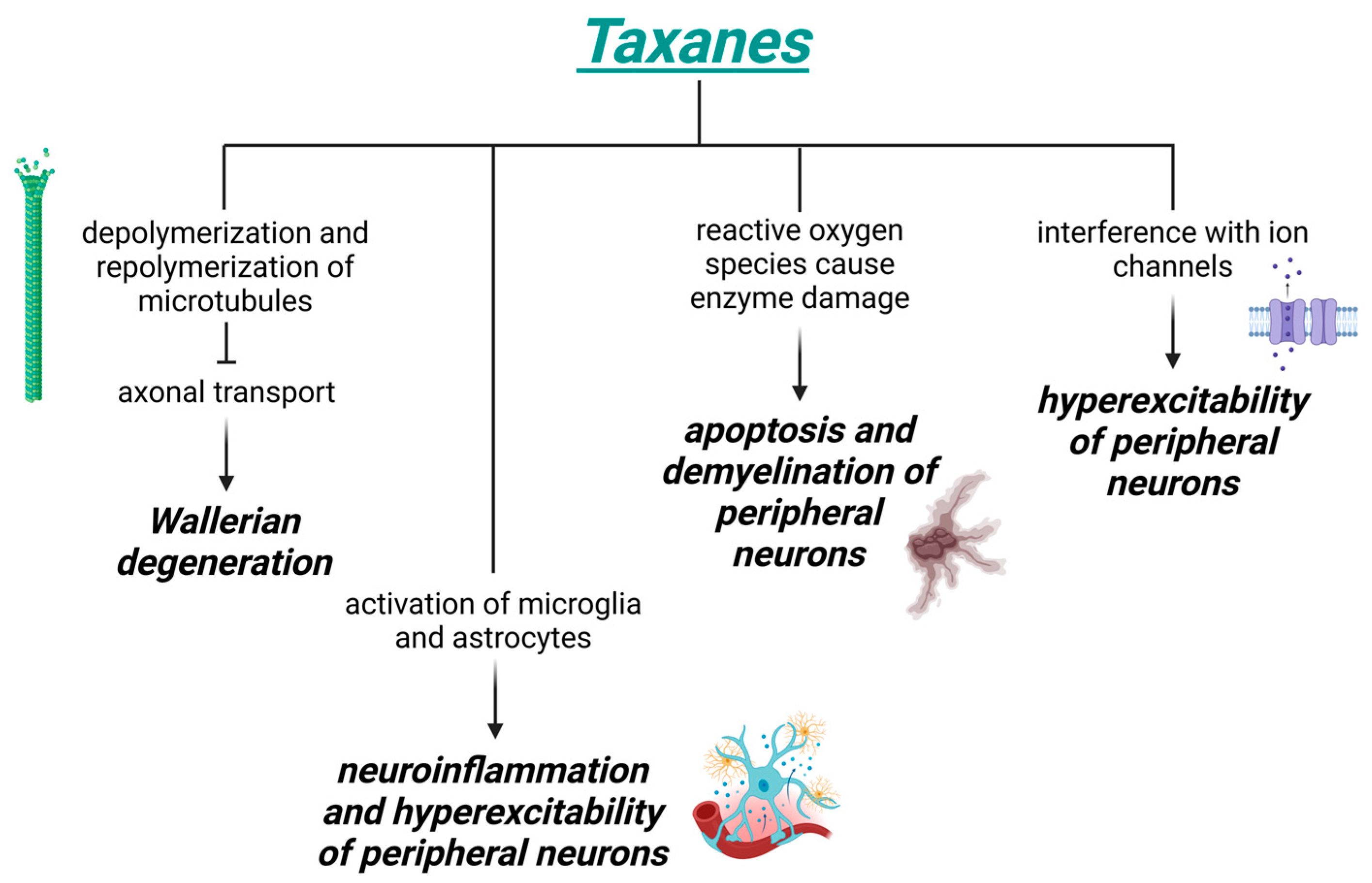 Biomedicines 13 01103 g002