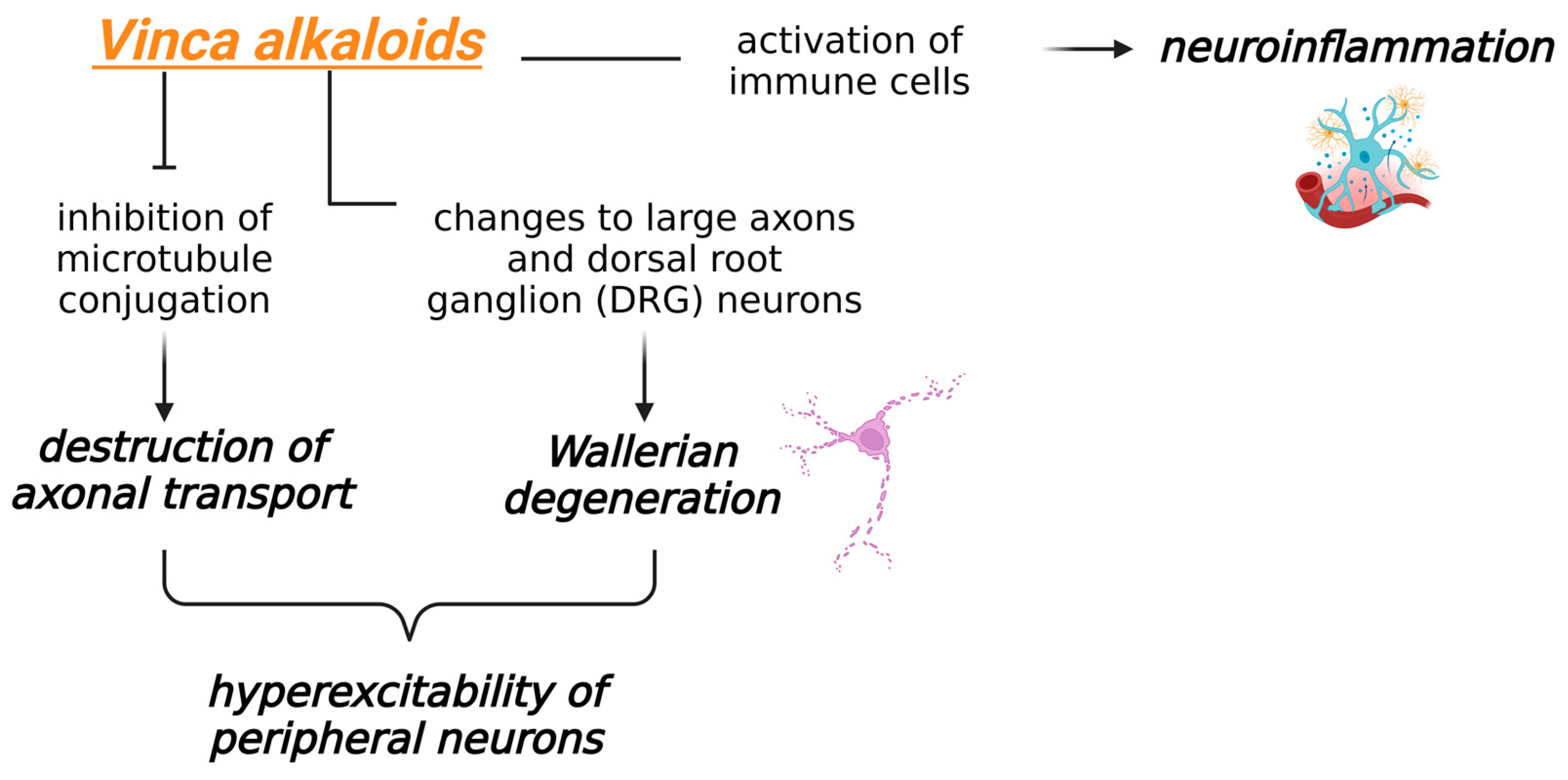 Biomedicines 13 01103 g003