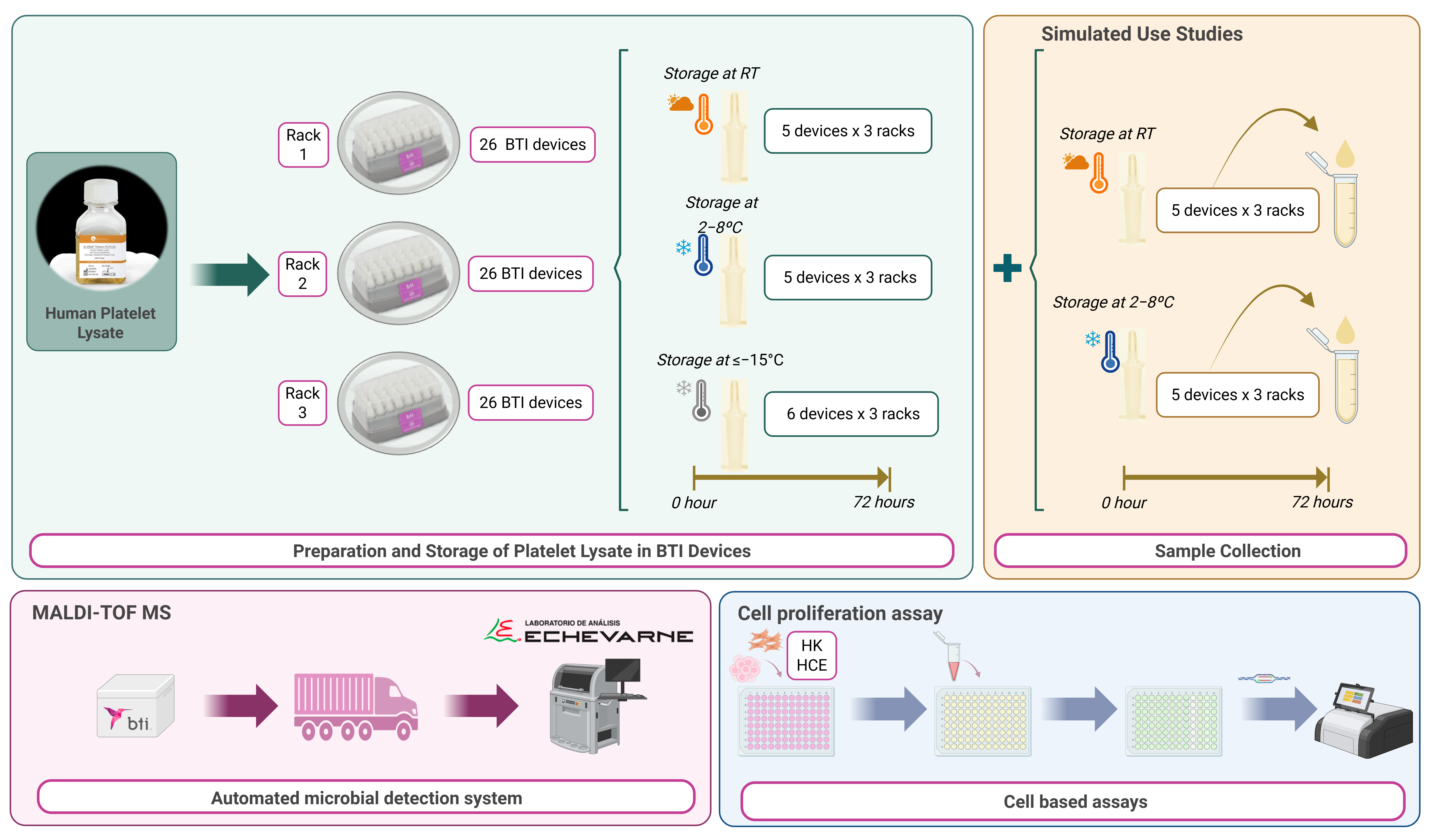 Biomedicines 13 01105 g001