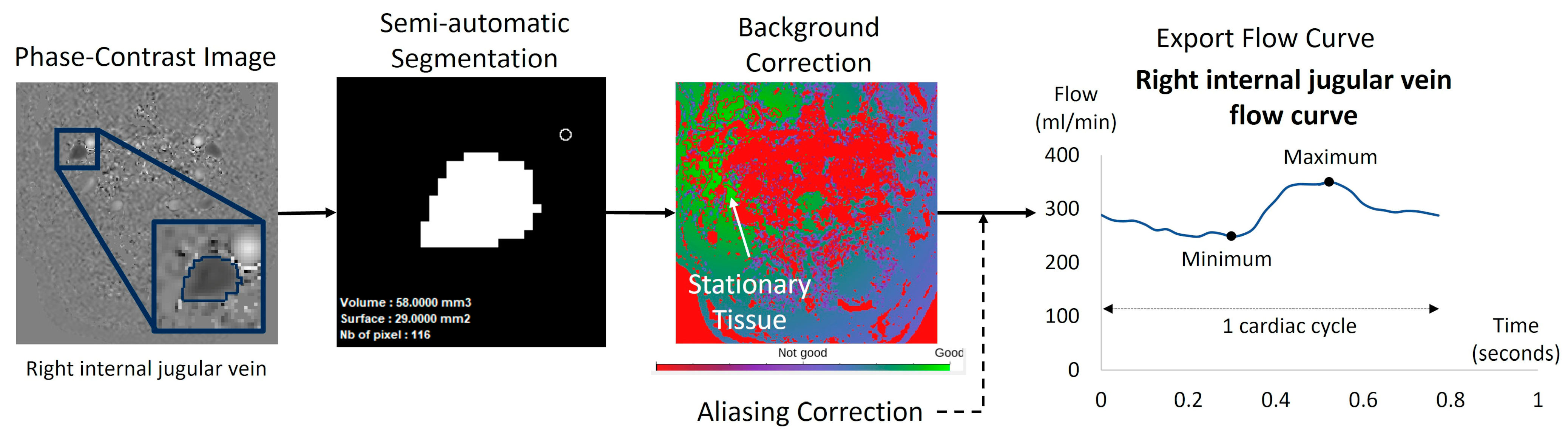 Biomedicines 13 01106 g004 Biomedicines 13 01106 g004