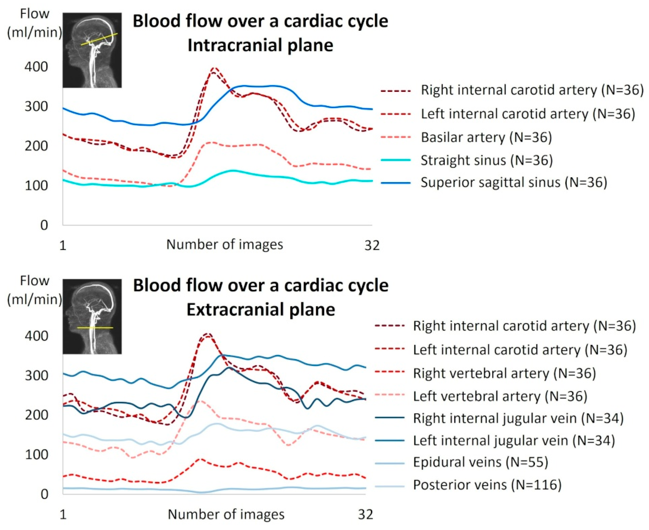 Biomedicines 13 01106 g005 Biomedicines 13 01106 g005